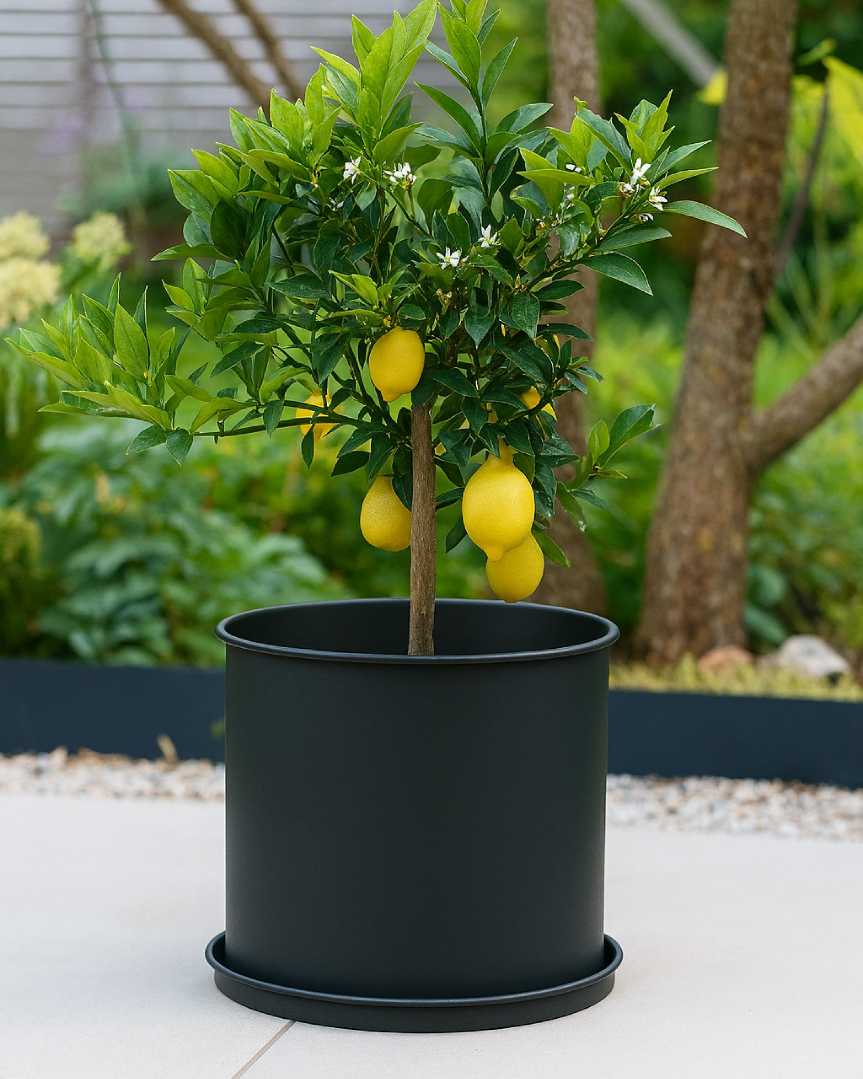 LIVLIG Blumentopf groß draußen, Übertopf für Pflanzen (3er-Set), UV-beständig, Ø25 cm, Ø31 cm, Ø40 cm, wetterfest, rostfrei
