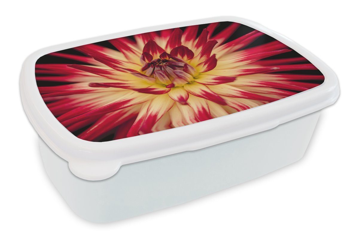 MuchoWow Lunchbox Blumen - Natur - Makro, Kunststoff, (2-tlg), Brotbox für Kinder und Erwachsene, Brotdose, für Jungs und Mädchen weiß