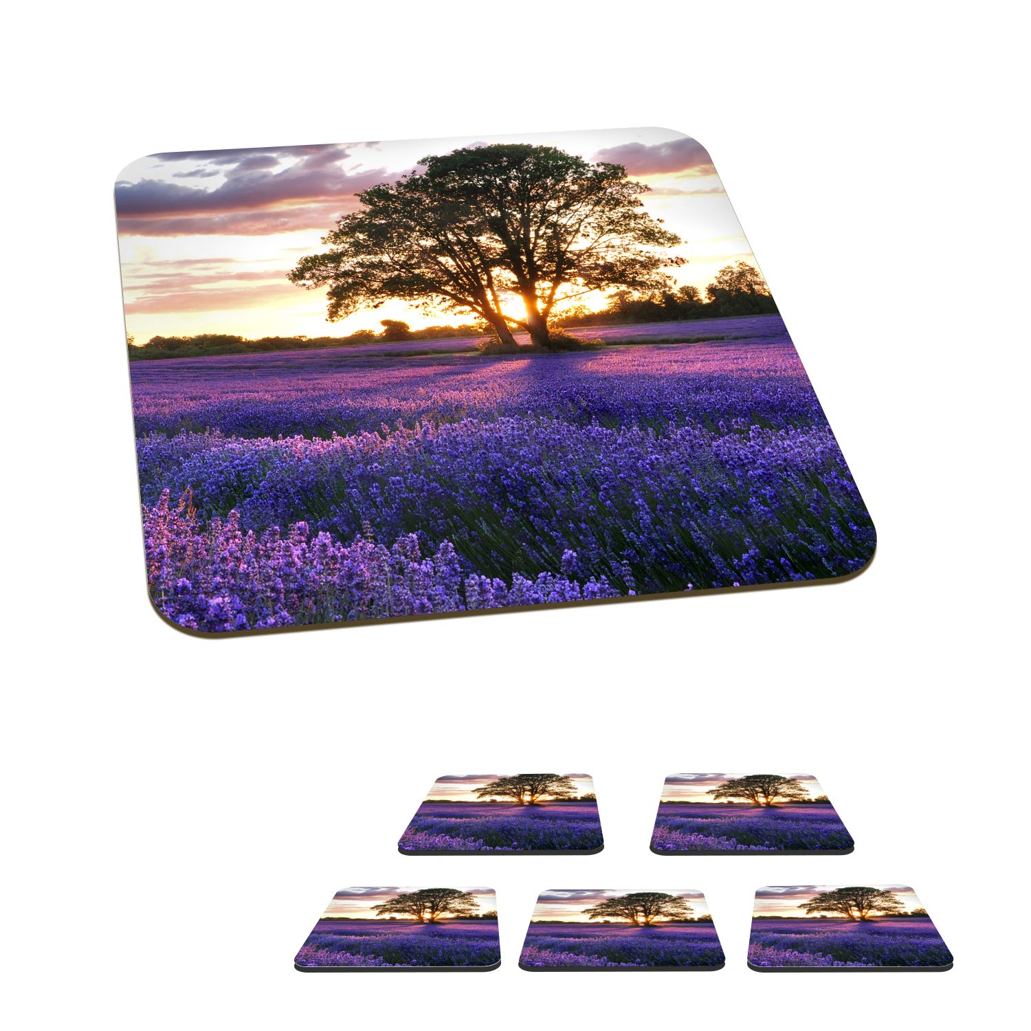 MuchoWow Glasuntersetzer Sommerabendlicher Sonnenuntergang über einem Feld mit Bio-Lavendel in, Zubehör für Gläser, 6-tlg., Glasuntersetzer, Tischuntersetzer, Korkuntersetzer, Untersetzer, Tasse