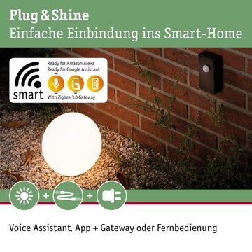 Kunstbaum Plug & Shine ZigbeeController IP68 24V DC max 75W Schwarz, Paulmann, Höhe 3 cm, Funk Systemlösungen