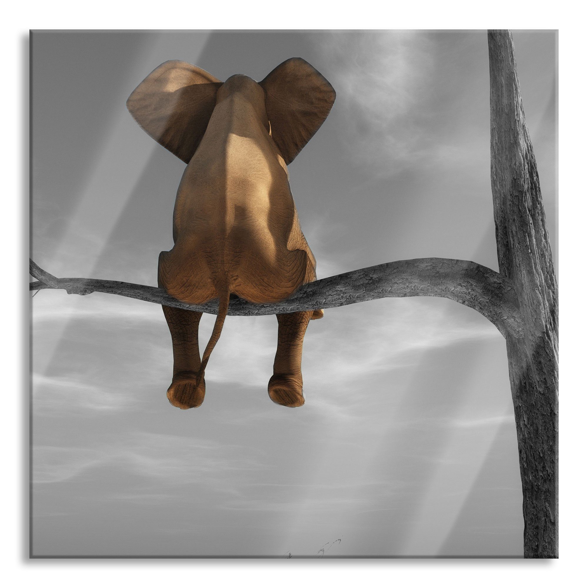 Glasbild Elefant auf einem Ast in der Wüste