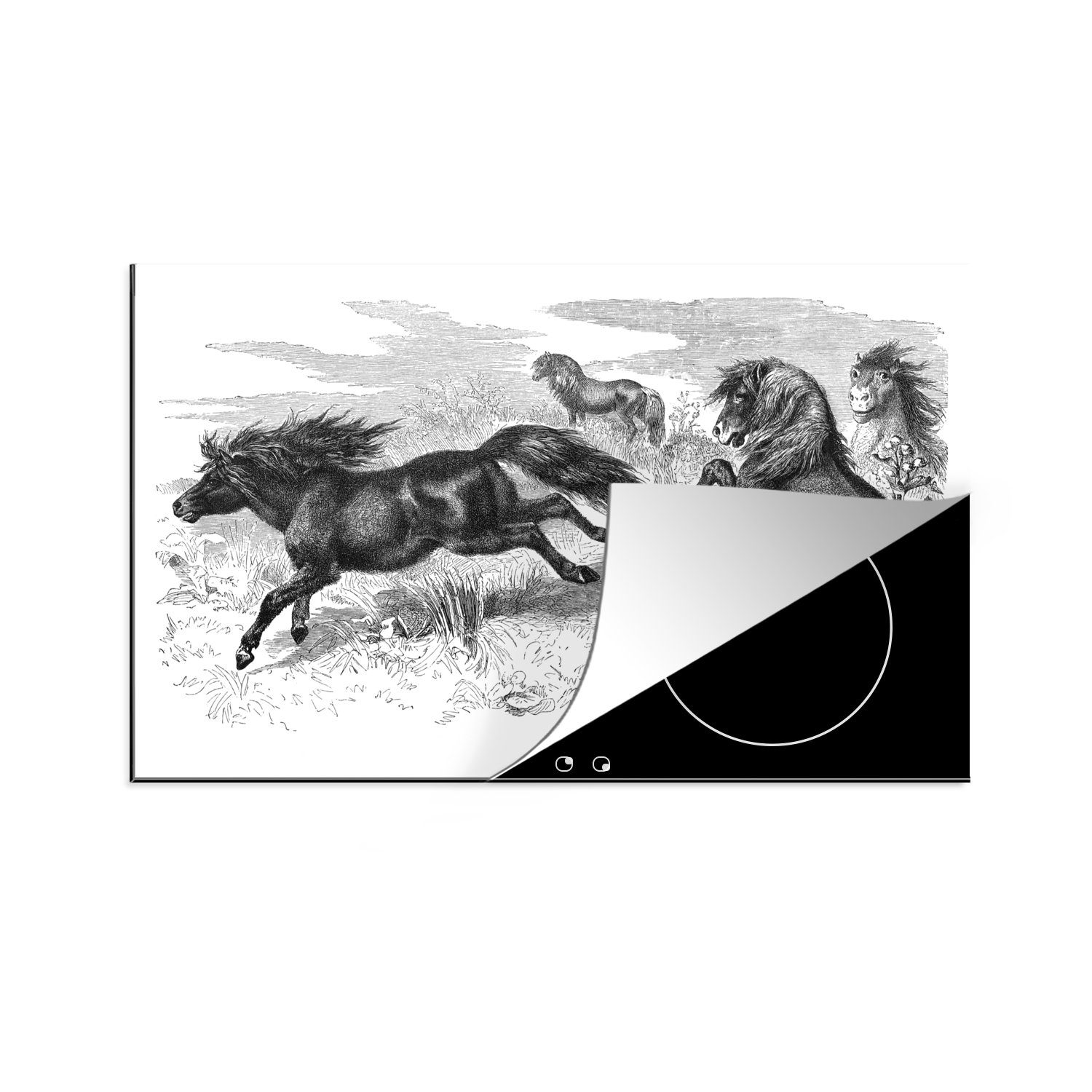 MuchoWow Herdblende-/Abdeckplatte Eine Illustration von Shetlandponys in ihrem natürlichen Lebensraum, Vinyl, (1 tlg), 81x52 cm, Induktionskochfeld Schutz für die küche, Ceranfeldabdeckung