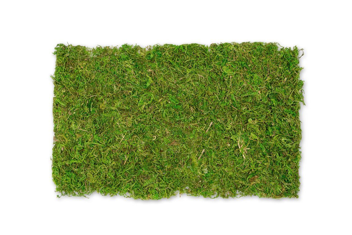 Bastelnaturmaterial Moosplatte ca. 30x18cm Moosmatte