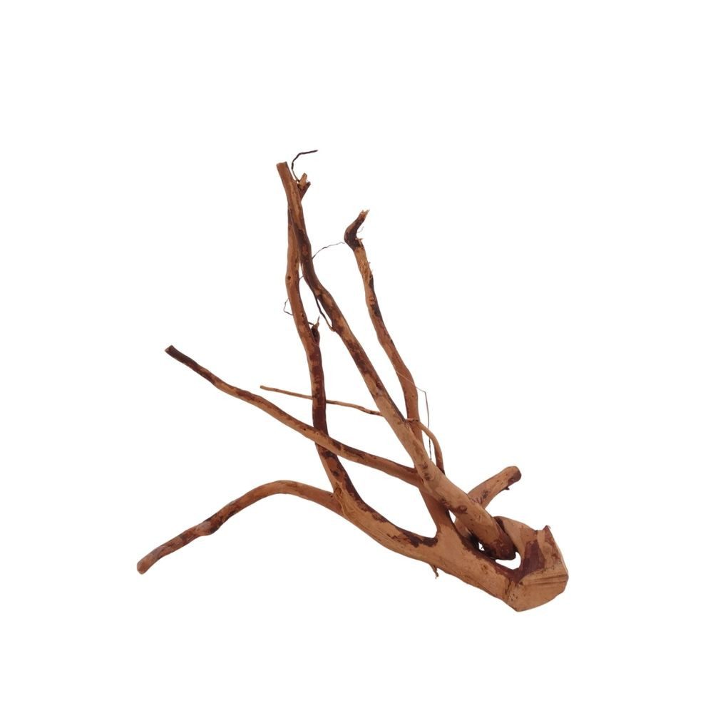 Aquaone Aquarium M Moorkienwurzel Nr.2684 Holz Deko Aquascaping