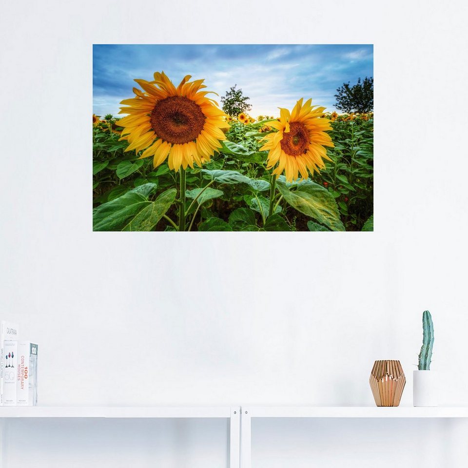 Artland Wandbild Sonnenblumen I, Blumen (1 St), als Alubild, Leinwandbild,  Wandaufkleber oder Poster in versch. Größen, Fertig zum Aufhängen für  einfache Montag