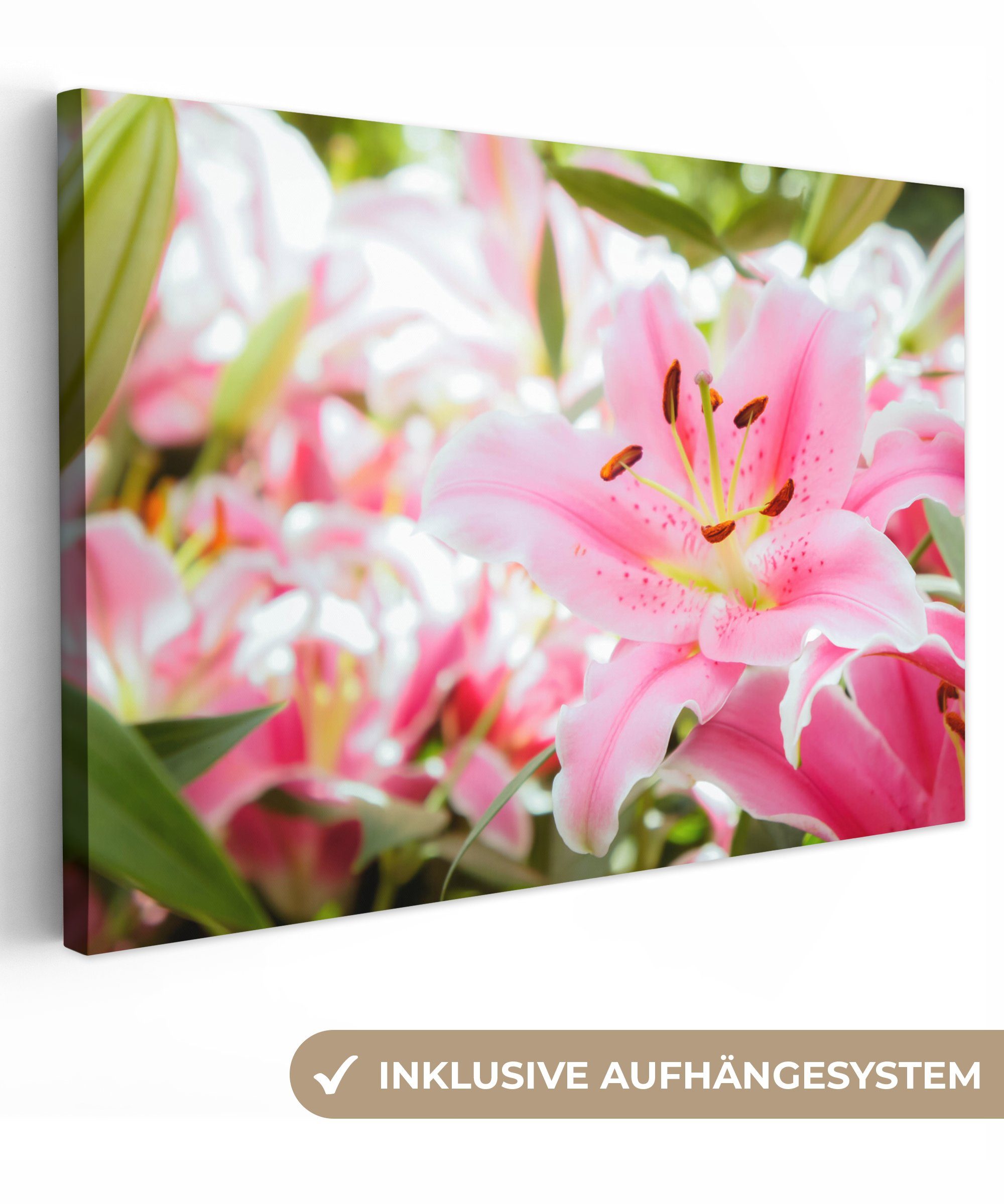 OneMillionCanvasses® Leinwandbild Lilie - Blumen - Rosa, (1 St), Wandbild Leinwandbilder, Aufhängefertig, Wanddeko, 30x20 cm