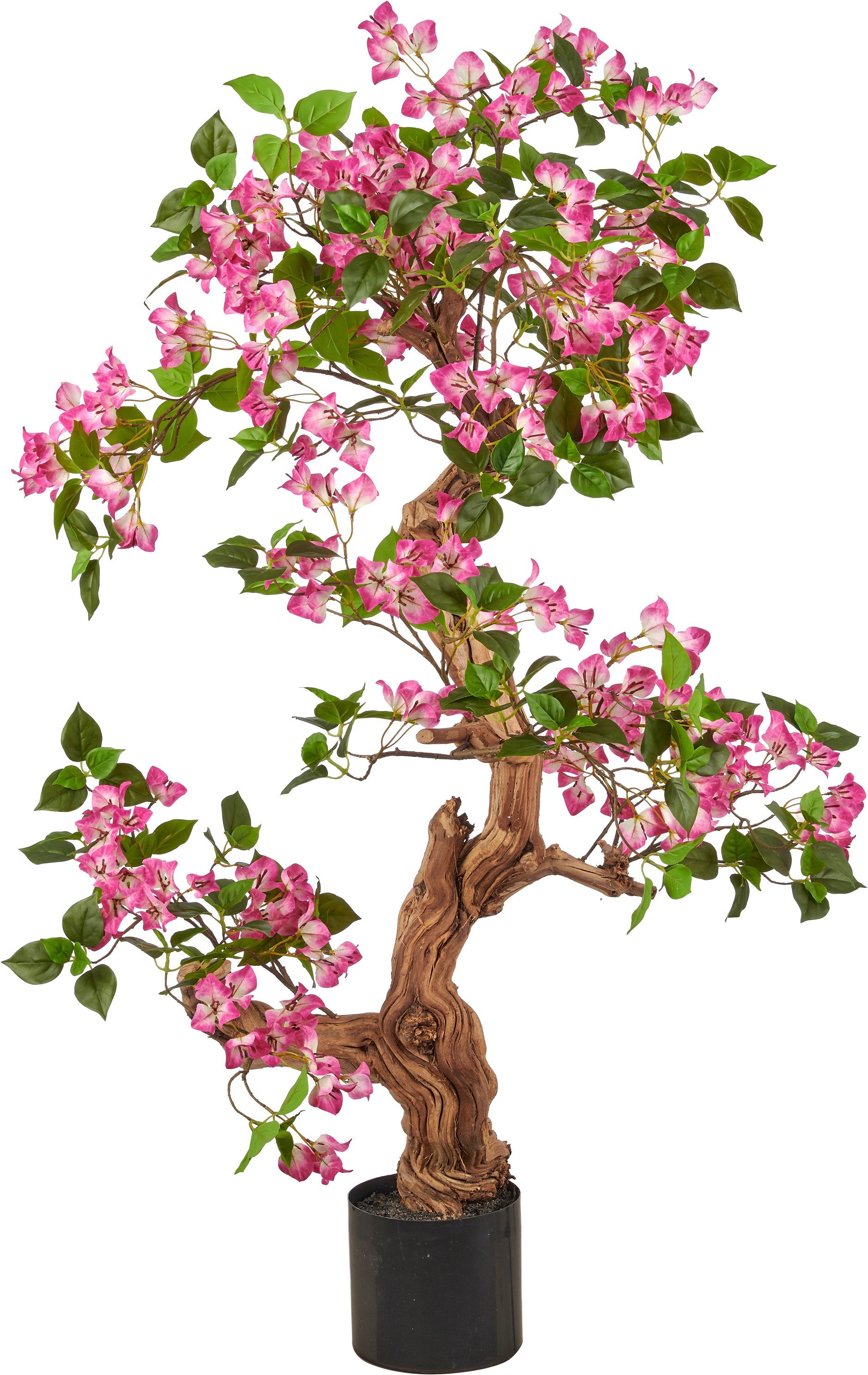 Kunstbaum Bougainvillea, Creativ green, Höhe 130 cm, mit traumhaft schönen Blüten