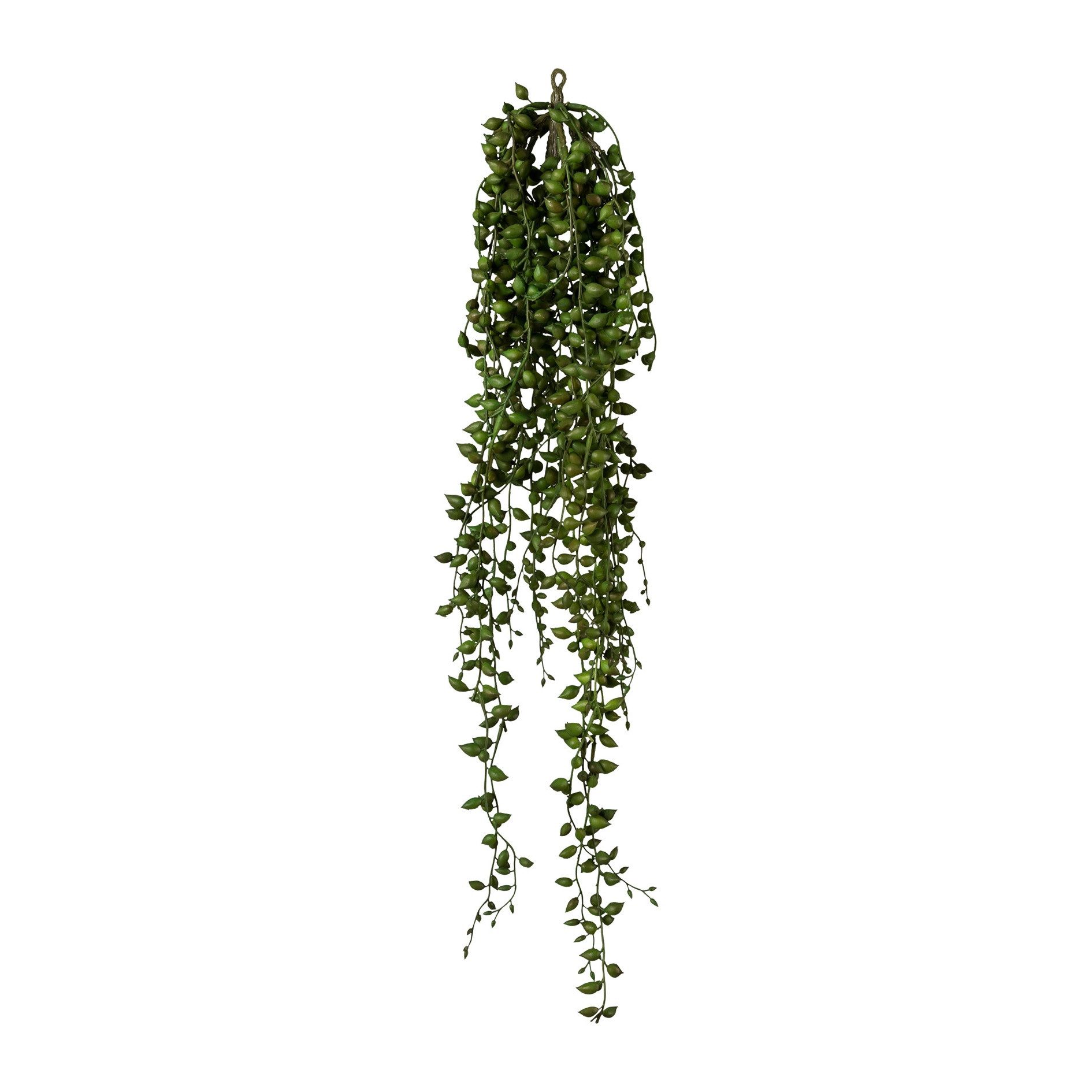 Künstliche Zimmerpflanze Deko-Pflanze SENECIO