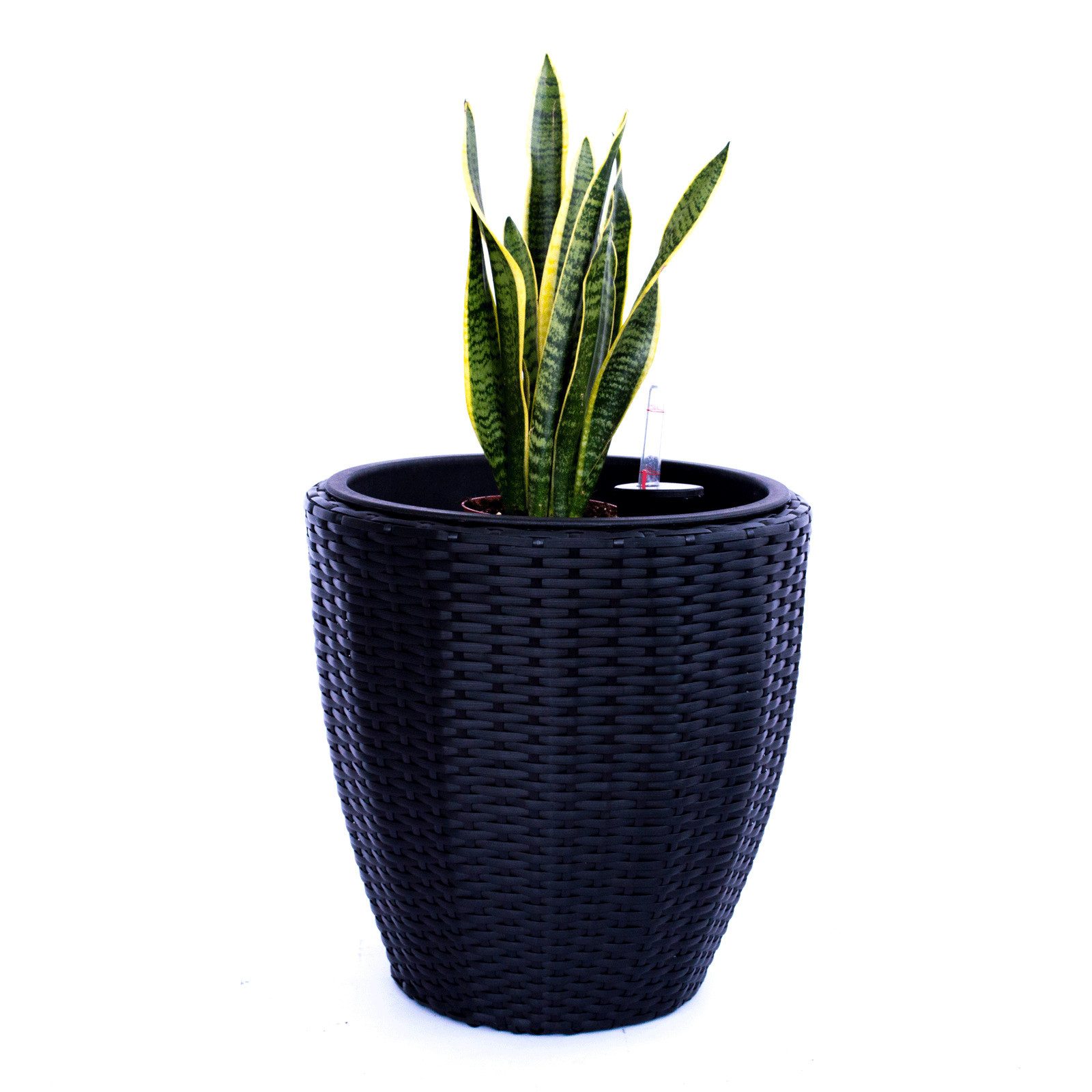 Elegant Einrichten Pflanzkübel Polyrattan rund konisch D37xH37cm schwarz (1 St)