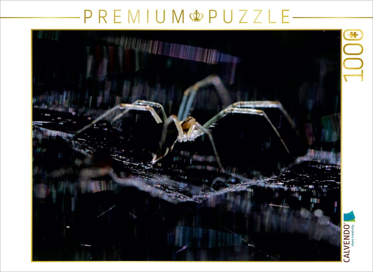 CALVENDO Puzzle CALVENDO Puzzle Unsere Spinnen - im Gespräch 1000 Teile Lege-Größe 64 x 48 cm Foto-Puzzle Bild von Carl-Peter Herbolzheimer, 1000 Puzzleteile