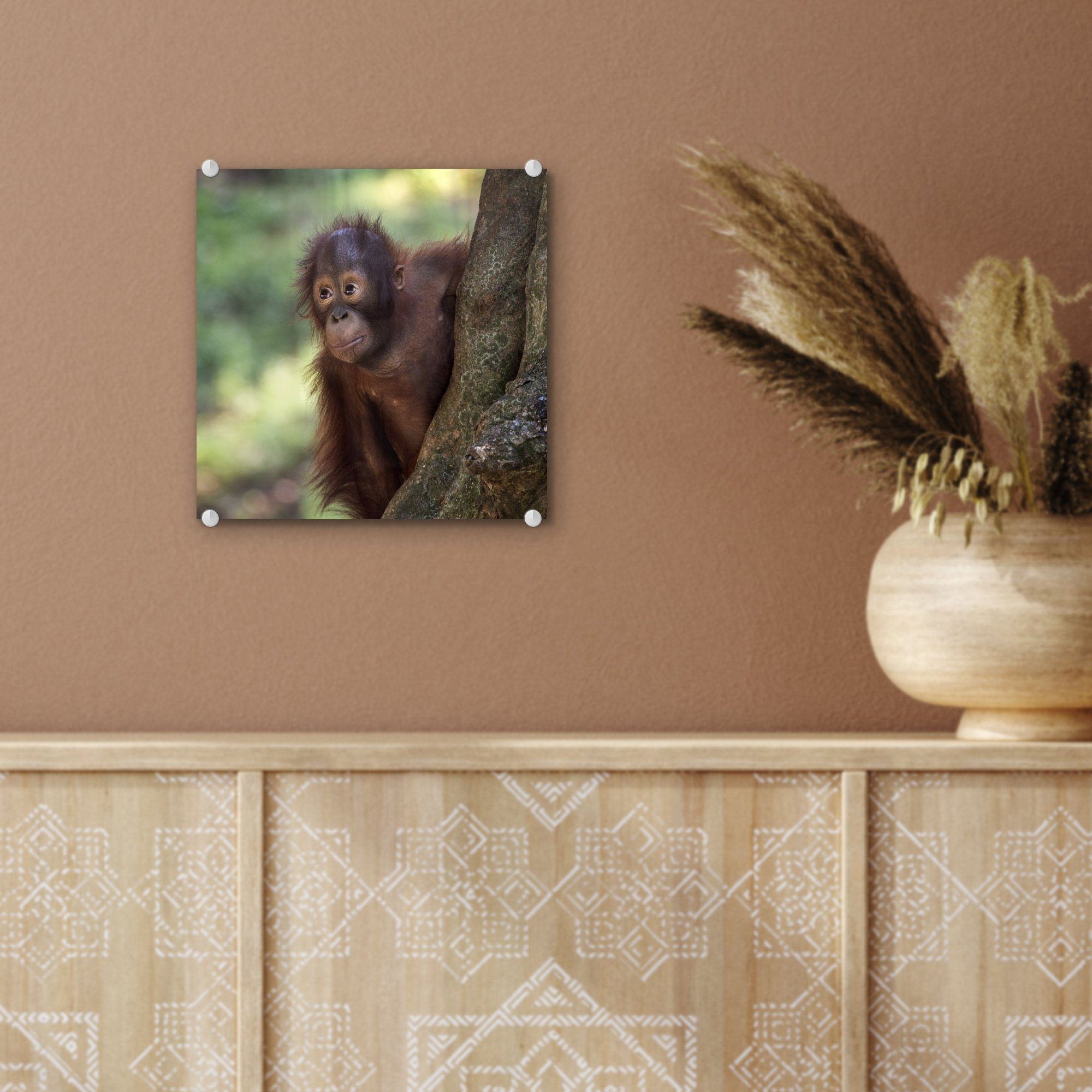 Wandbild - - - Foto - Wanddekoration Acrylglasbild Orang-Utan auf Baum, - Glas Baby (1 auf Glasbilder Glas MuchoWow St), Bilder