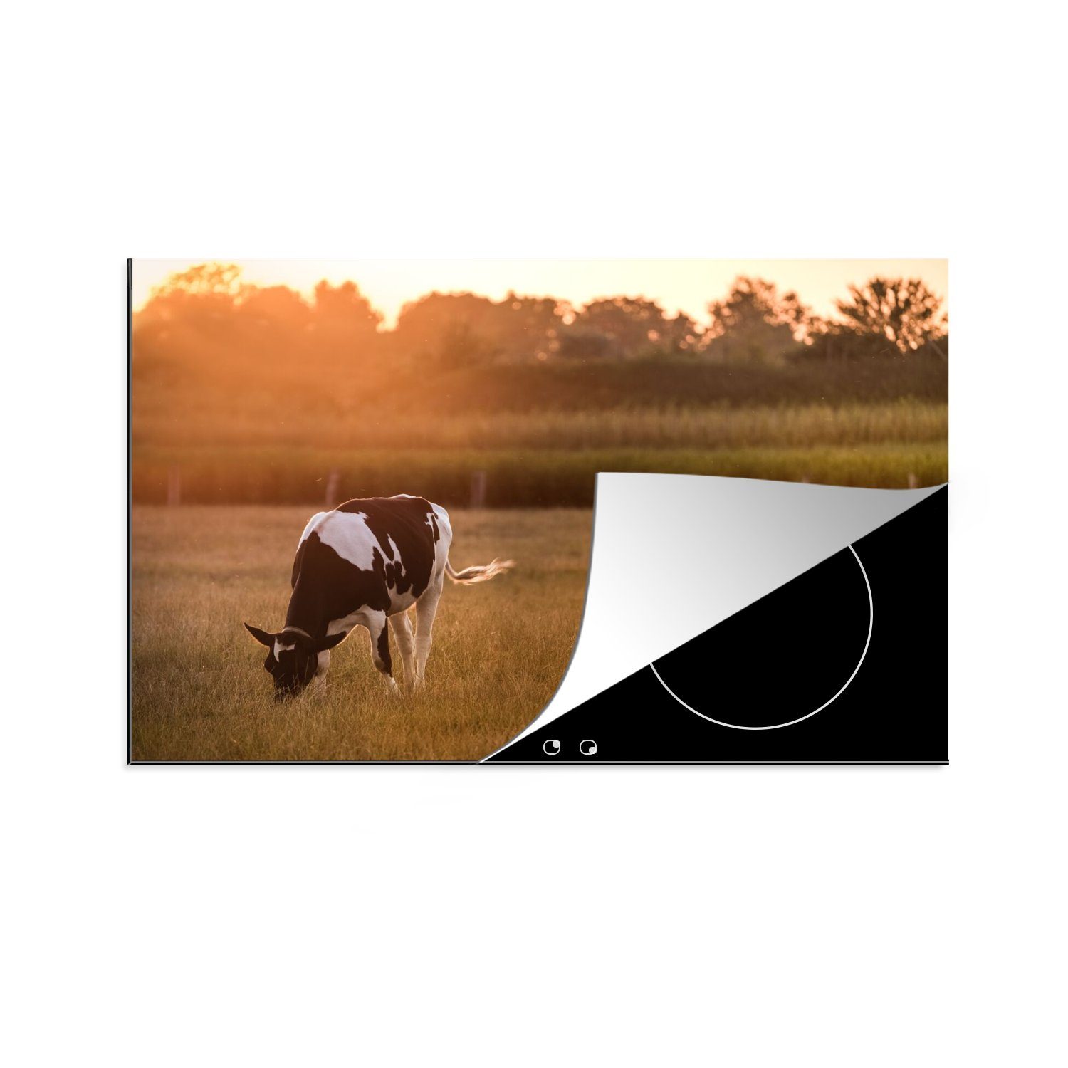 MuchoWow Herdblende-/Abdeckplatte Kuh - Sonne - Tiere, Vinyl, (1 tlg), 80x52 cm, Induktionskochfeld Schutz für die küche, Ceranfeldabdeckung