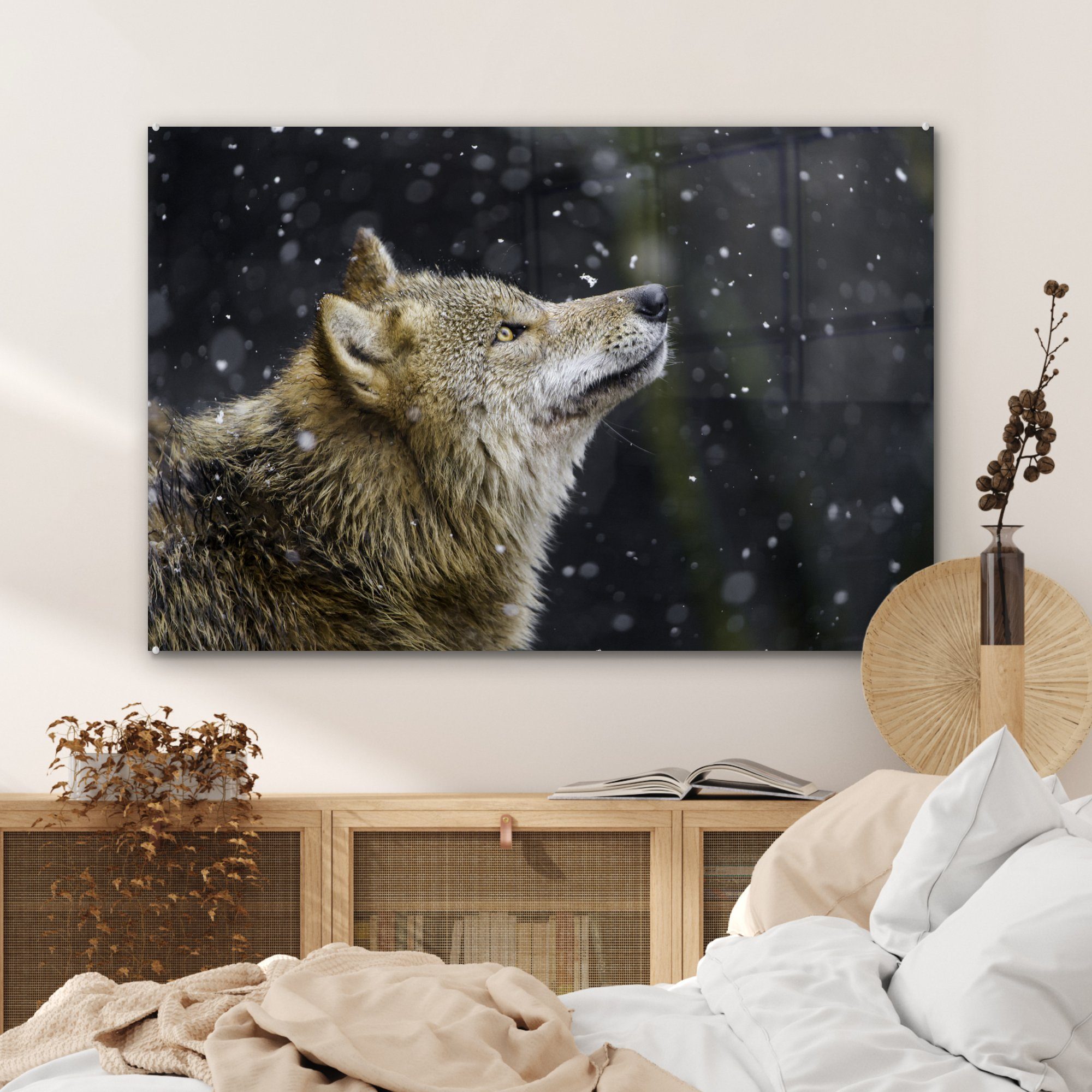 MuchoWow Acrylglasbild Wolf - Schnee Acrylglasbilder Schlafzimmer St), (1 Wohnzimmer - Braun, &