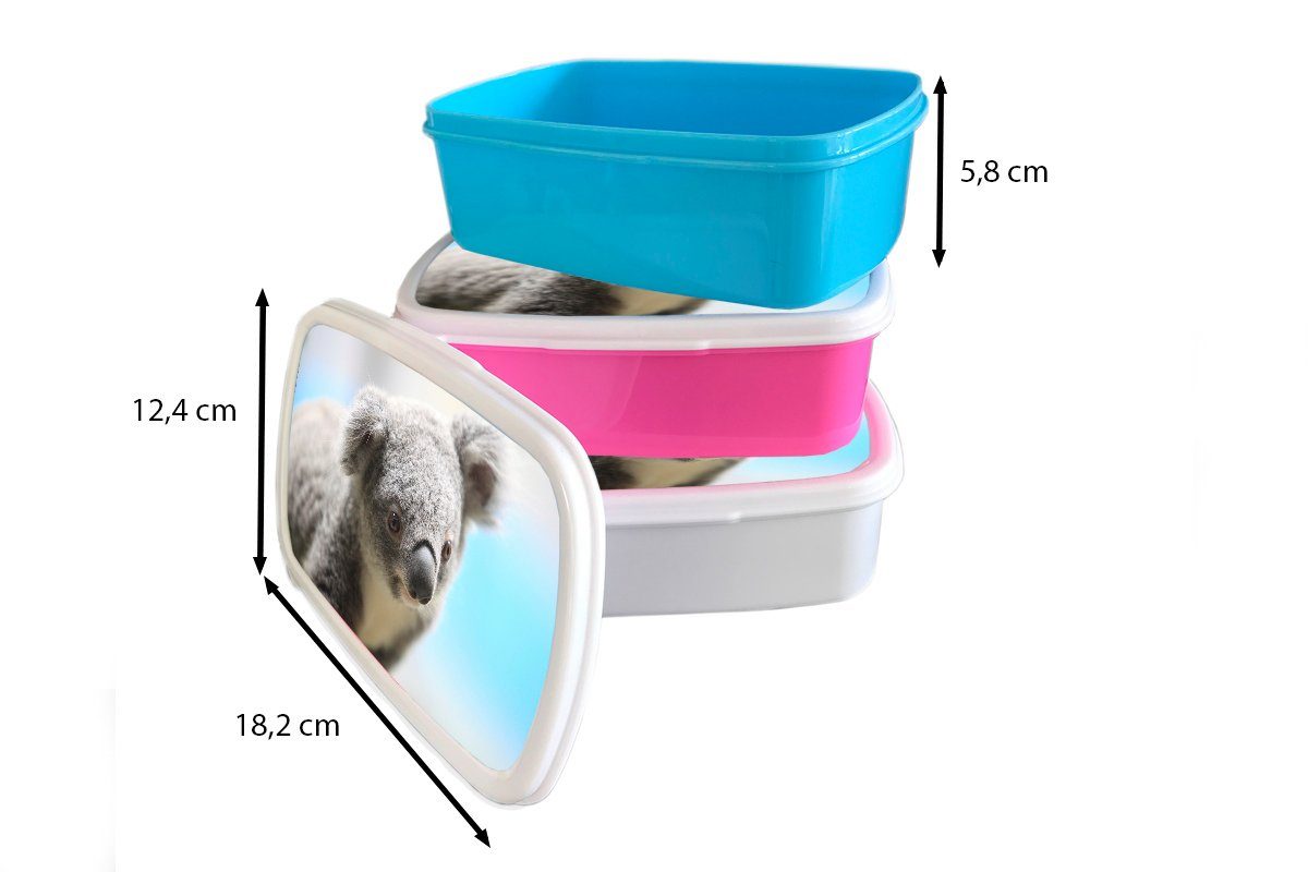 MuchoWow Lunchbox Koala Brotbox Snackbox, - Mädchen, Tier Brotdose Kunststoff, Nahaufnahme Kunststoff Jungen - Kinder - - Erwachsene, - (2-tlg), rosa Mädchen, für Kinder