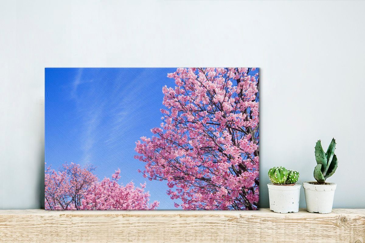 30x20 Leinwandbilder, Kirschblüte Himmel, cm (1 Leinwandbild OneMillionCanvasses® Wanddeko, Wandbild blauen Aufhängefertig, St), gegen