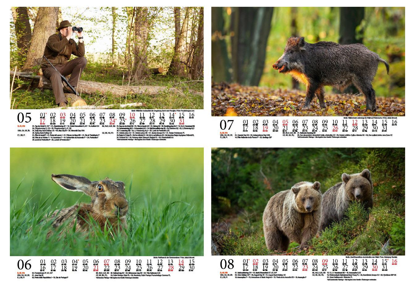 Seelenzauber Wandkalender Tierzauber Jagd & Forst DIN A5 Kalender für 2026 - Seelenzauber