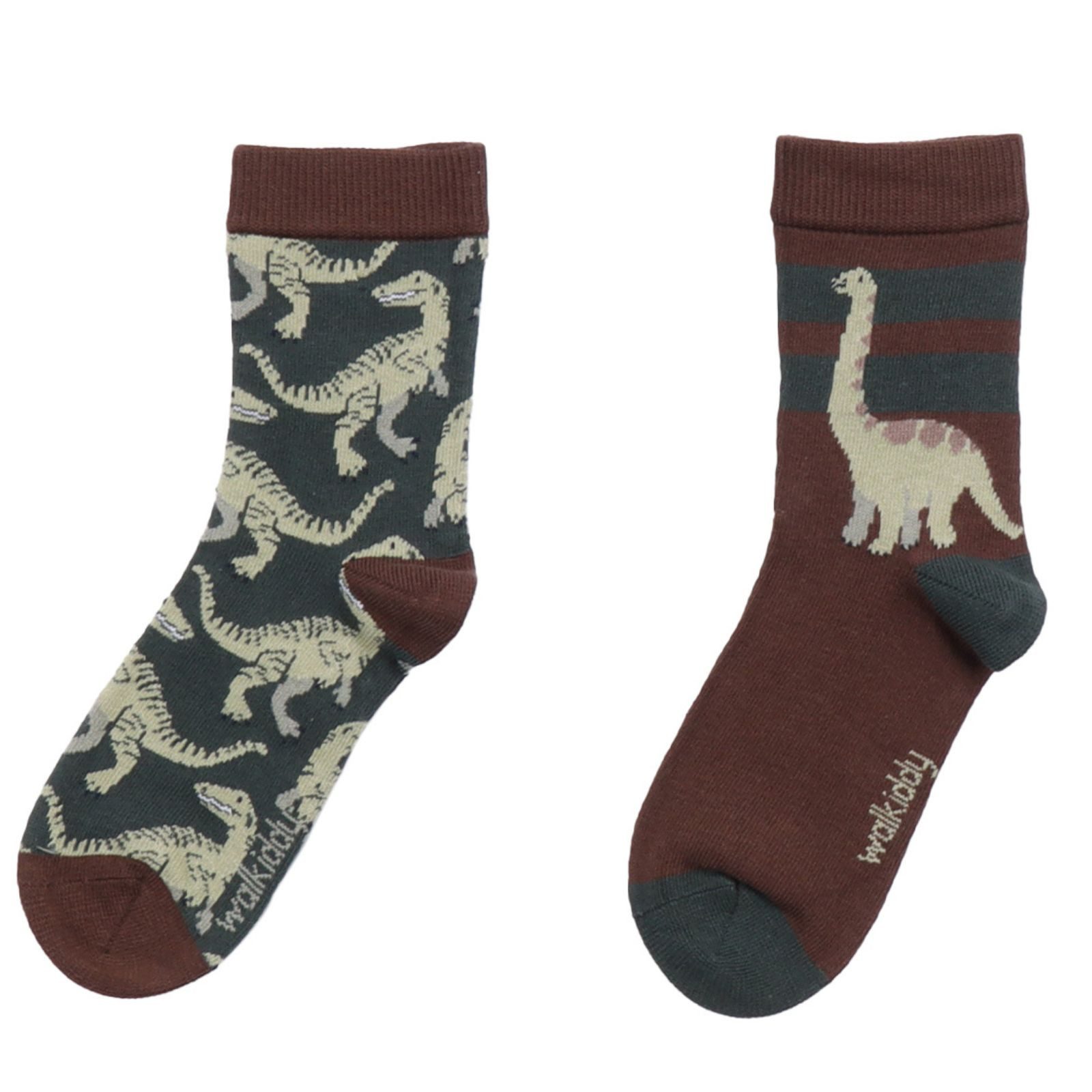 Walkiddy Laufsocken Walkiddy Doppelpack Socken Dinosaurier 25/27 Dinoprint