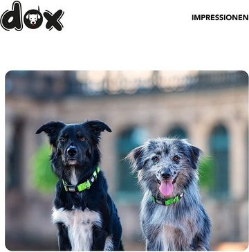 DDOXX Hunde-Halsband Nylon Hundehalsband, reflektierend, verstellbar, Lila M (1Er Pack)