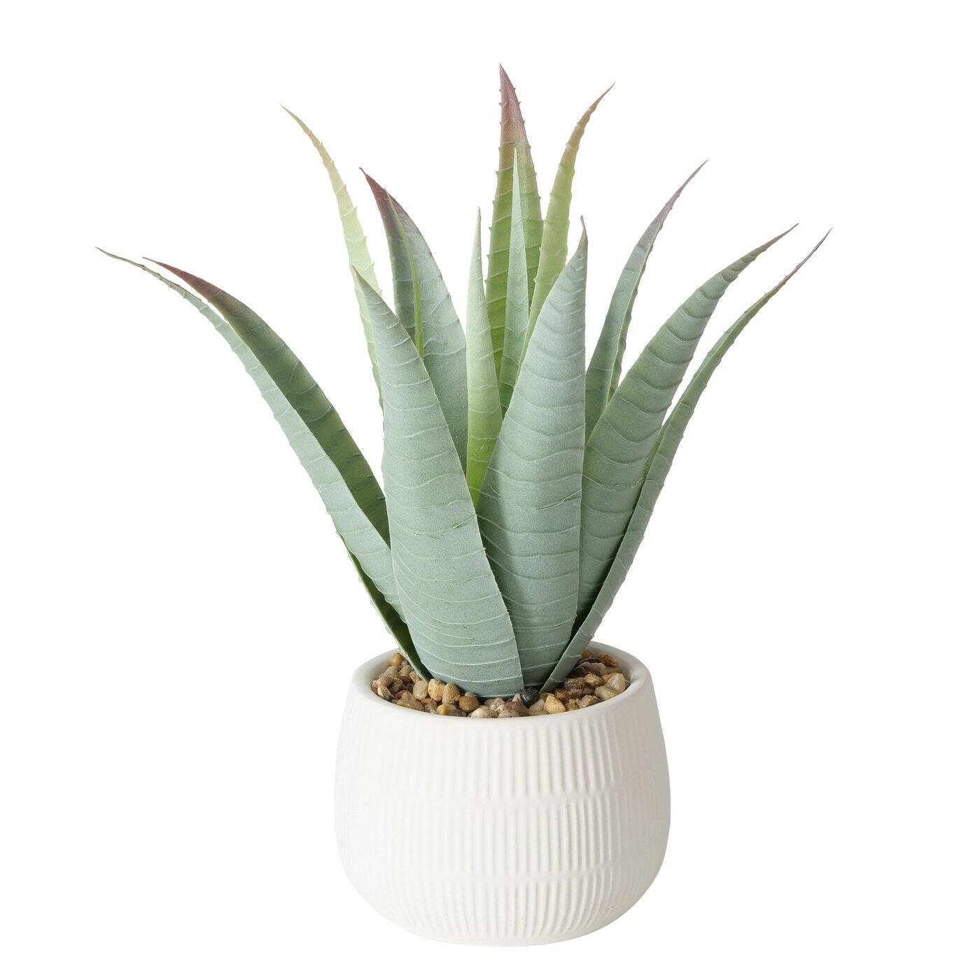 Kunstpflanze Künstliche Aloe-Pflanze im Blumentopf MONDRAGO, 29 cm Zimmerpflanze, BOLTZE GRUPPE GmbH, Höhe 29 cm