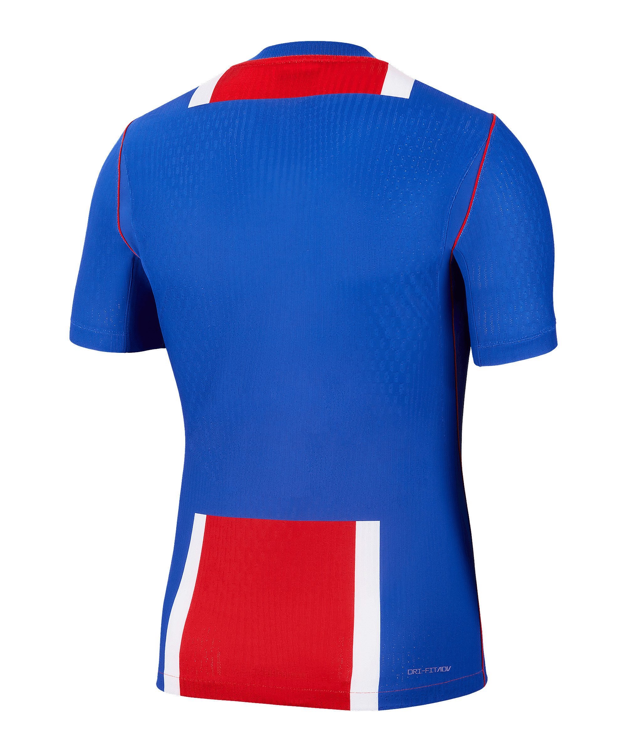Nike Fußballtrikot Nike Performance Ligue 1
