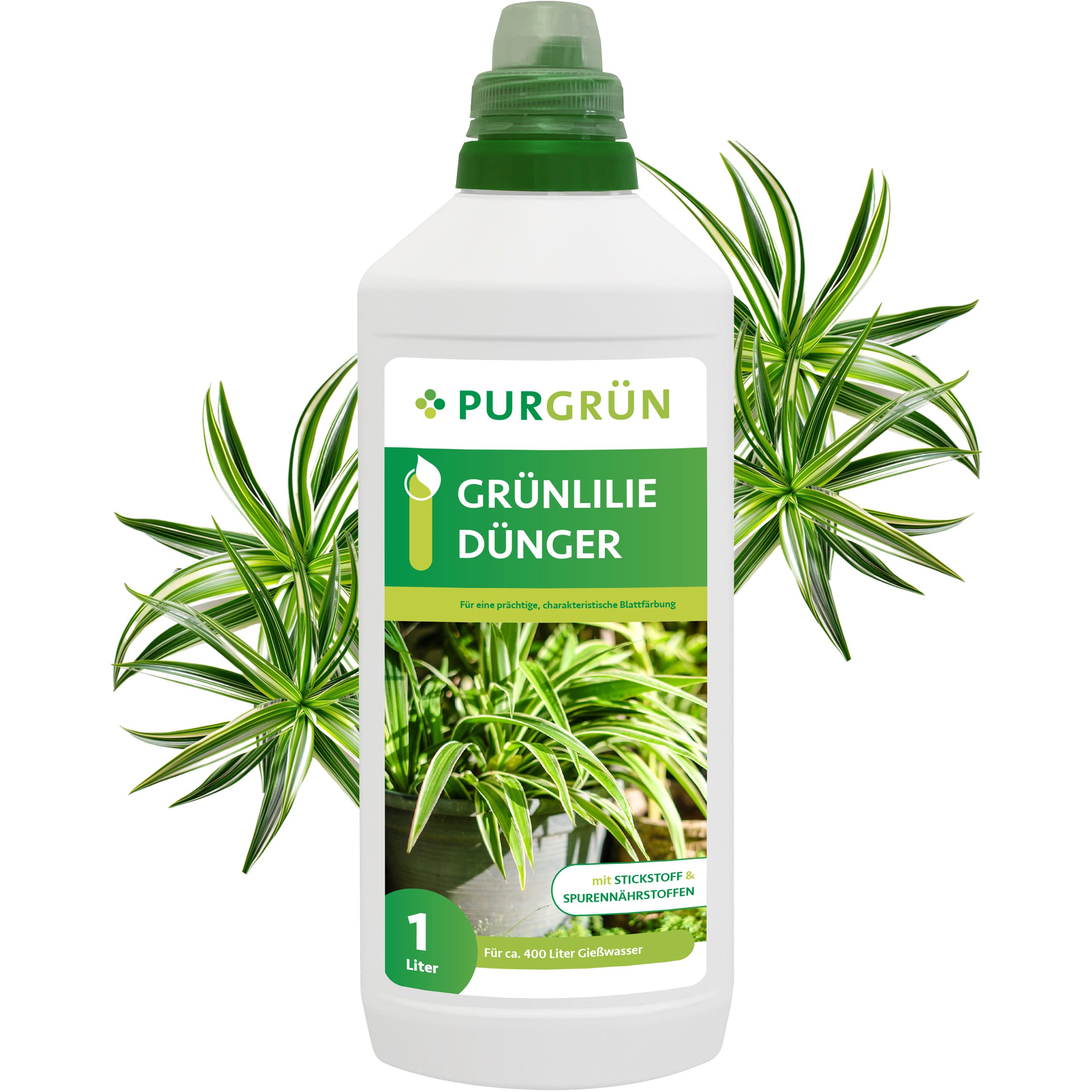Universaldünger Purgrün Grünlilie Dünger, NPK 10+4+6, lebendige Blattfärbung, 1L