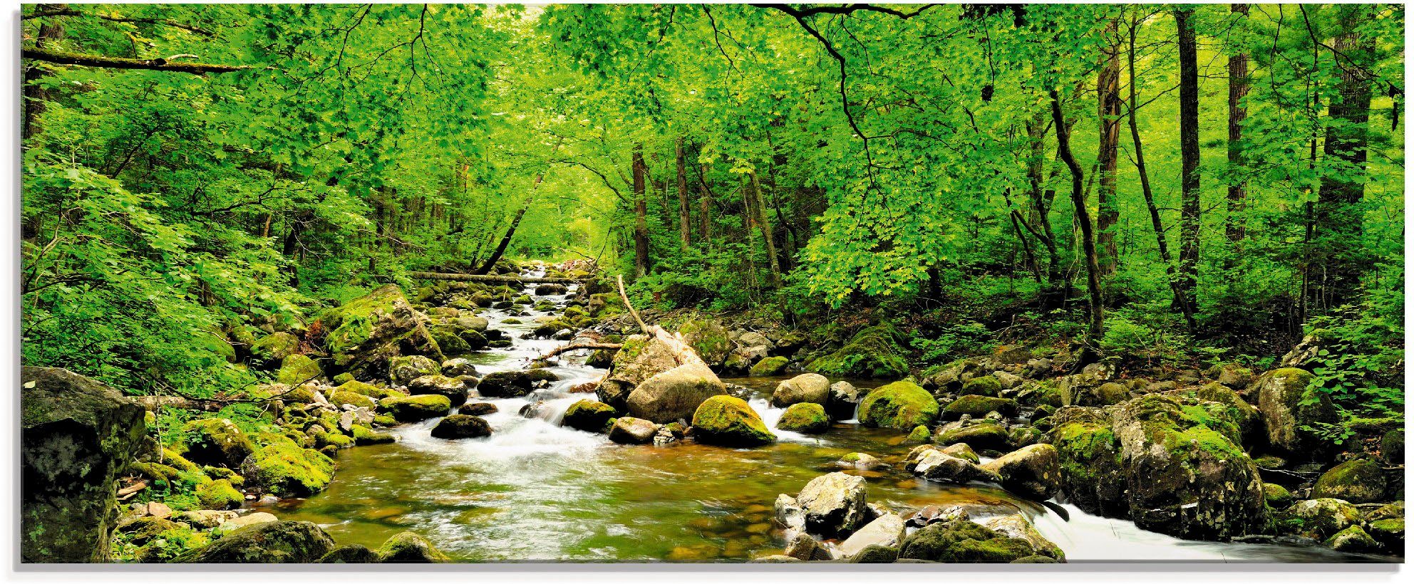 Artland Glasbild Herbstwald Fluss Smolny, St), in verschiedenen Wald Größen (1