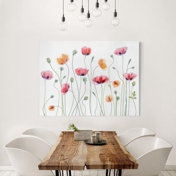 Bilderdepot24 Leinwandbild Blume Natur Modern Klatschmohn weiss Bild auf Leinwand Groß XXL, Bild auf Leinwand; Leinwanddruck in vielen Größen