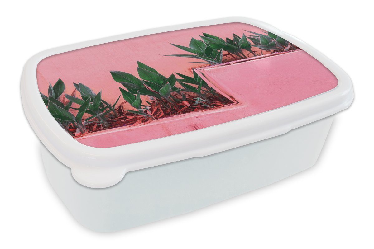 - Brotbox Kunststoff, und Farbe, Erwachsene, Brotdose, MuchoWow weiß - für Jungs Kinder und Pflanzen Sommer (2-tlg), Mädchen für Lunchbox