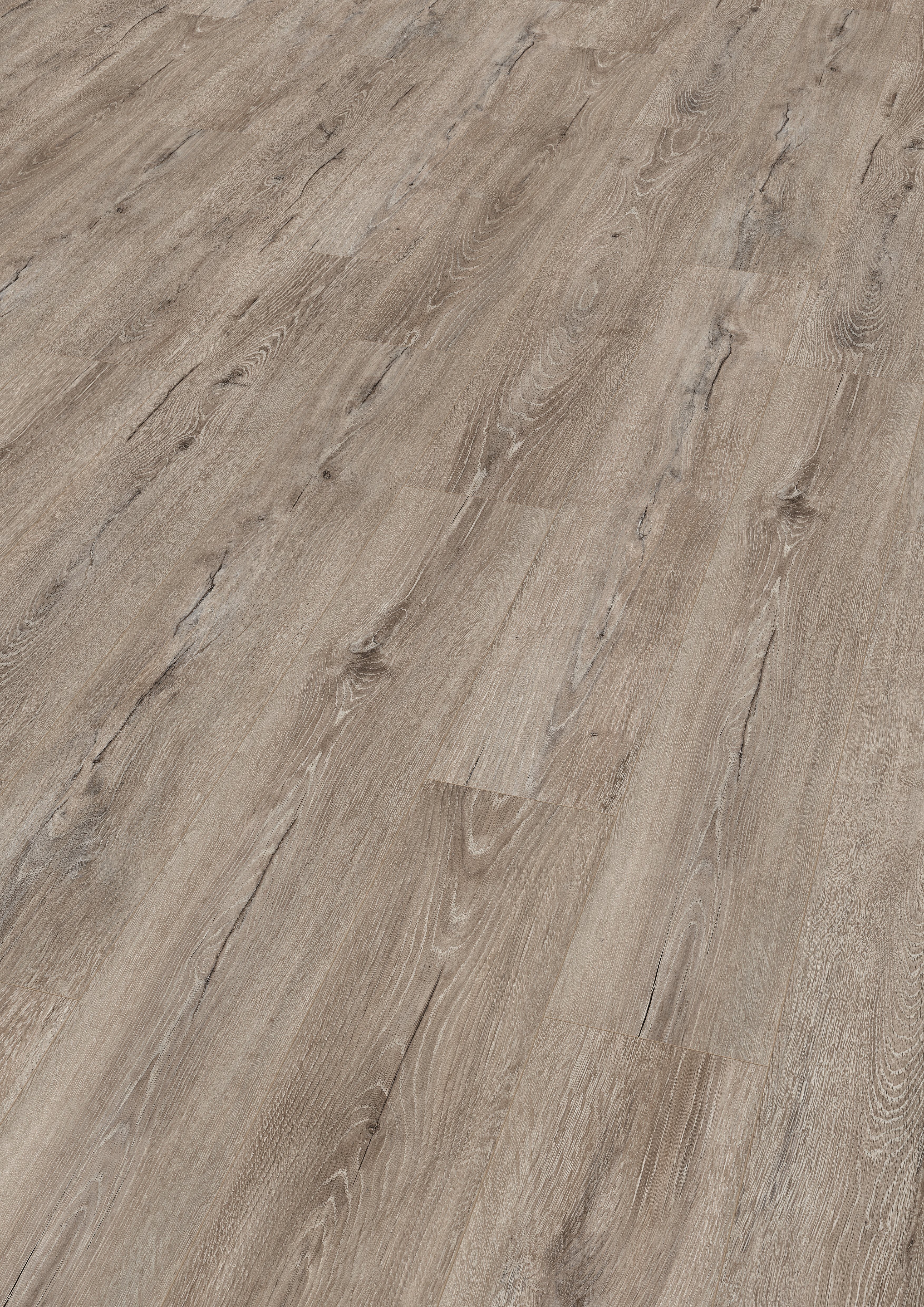 EGGER Laminat EL1006 Melba Eiche grau, (7mm, 2,494m),Praktisch & wertbestän günstig online kaufen