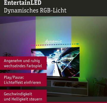 Paulmann LED-Streifen USB LED Strip TV-Beleuchtung 65 Zoll 2,4m Dynamic Rainbow RGB 4W, 1-flammig