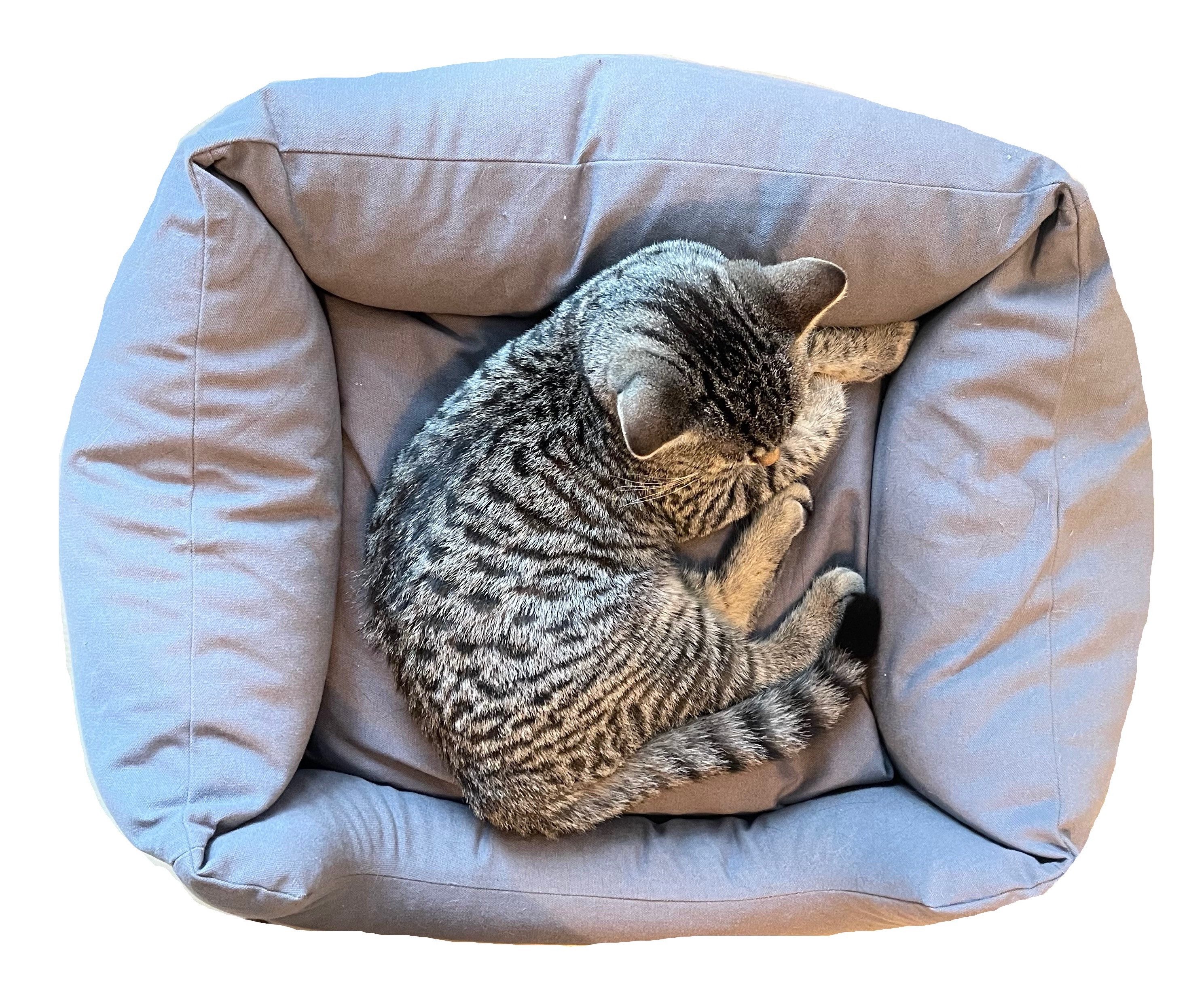 LOOPcats Katzenliege LIEBLINGSPLATZ cats