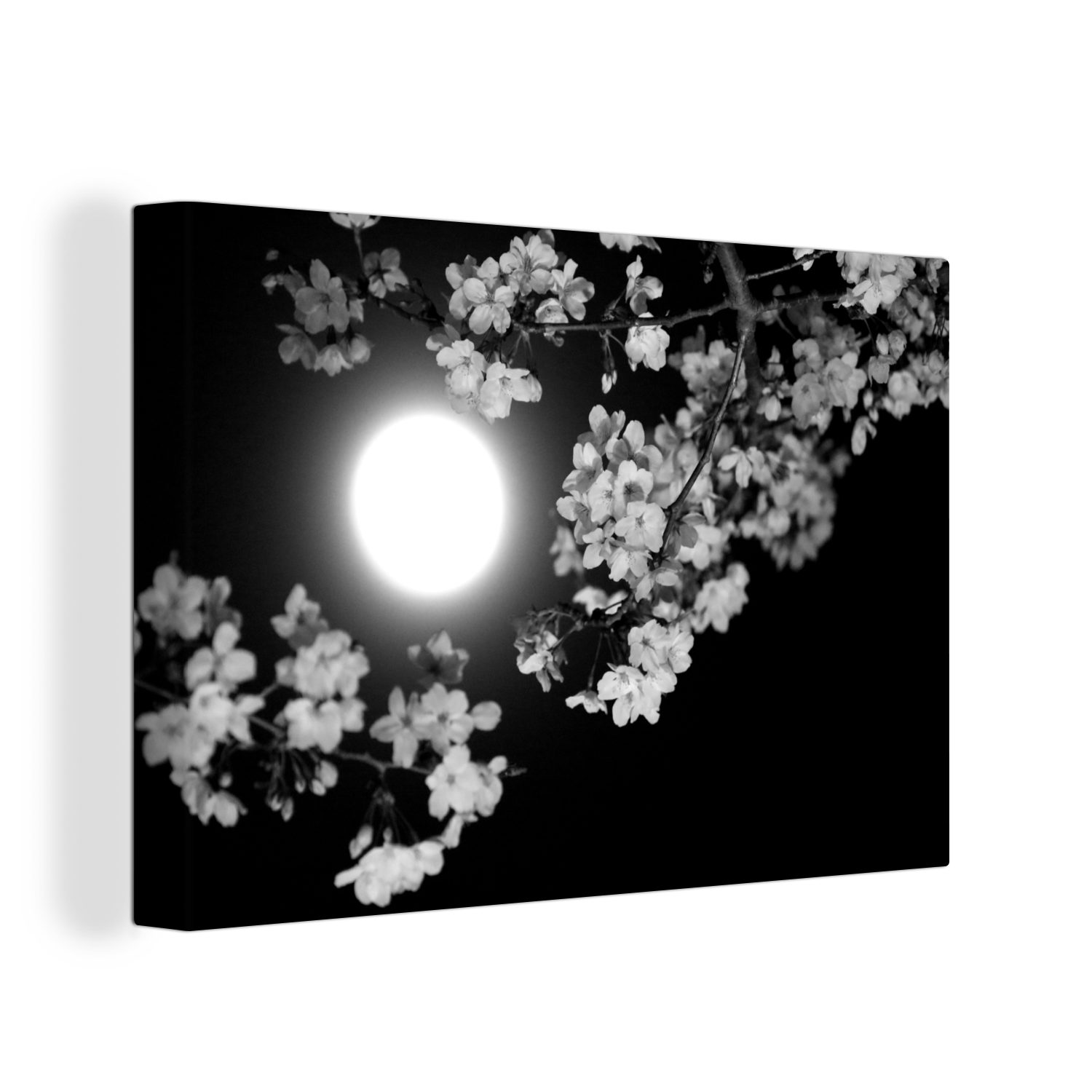 (1 - Leinwandbilder, Weiß, Wandbild Aufhängefertig, - St), Leinwandbild Sakura Wanddeko, Schwarz cm Mond 30x20 OneMillionCanvasses® -