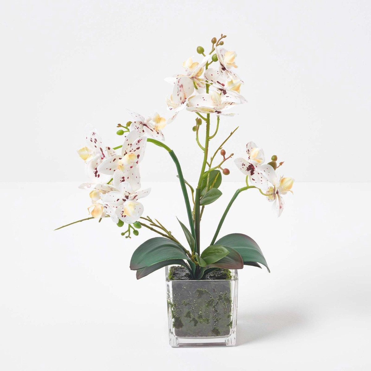 Kunstorchidee Künstliche weiße Phalaenopsis-Orchidee im Glas-Topf, 42 cm, Homescapes, Höhe 42 cm