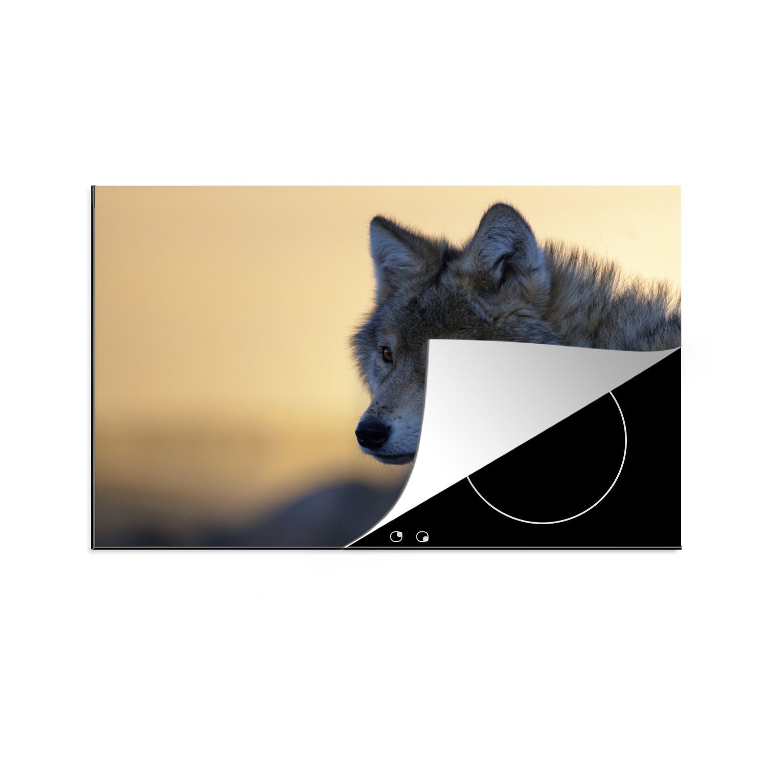 MuchoWow Herdblende-/Abdeckplatte Wolf - Nahaufnahme - Orange, Vinyl, (1 tlg), 81x52 cm, Induktionskochfeld Schutz für die küche, Ceranfeldabdeckung
