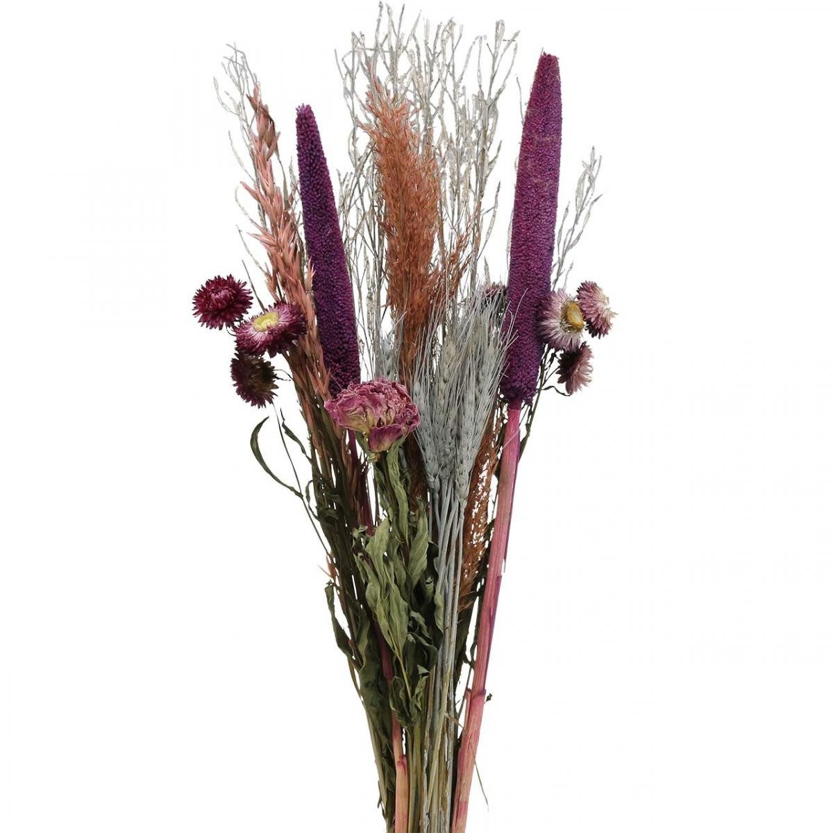 Trockenblume Trockenblumen-Strauß Ländliche Rosa Wiesenblumen und Getreide