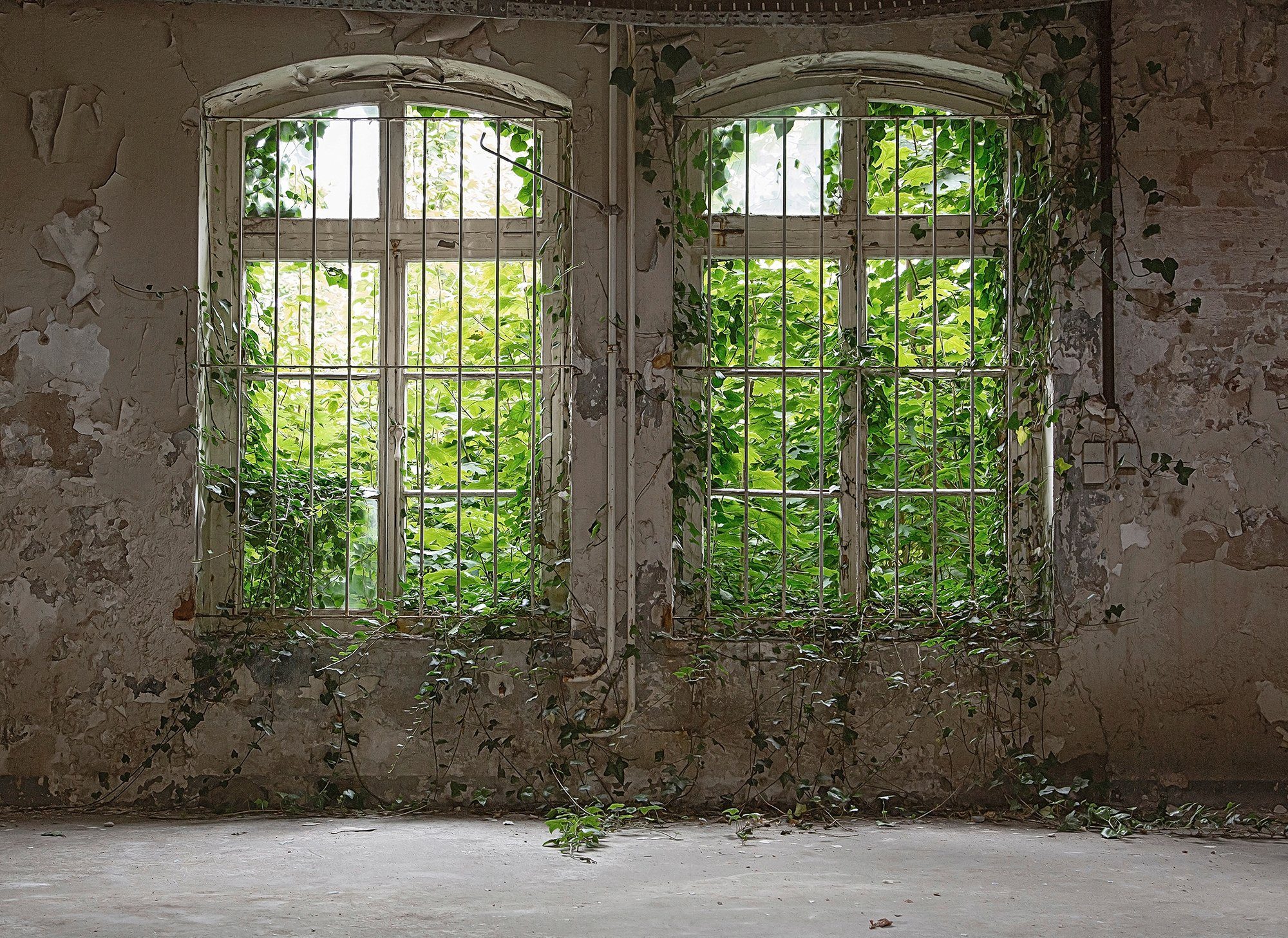 living walls glatt, Designwalls Window, (5 Decke Vlies, St), Fototapete Schräge, Old Wand