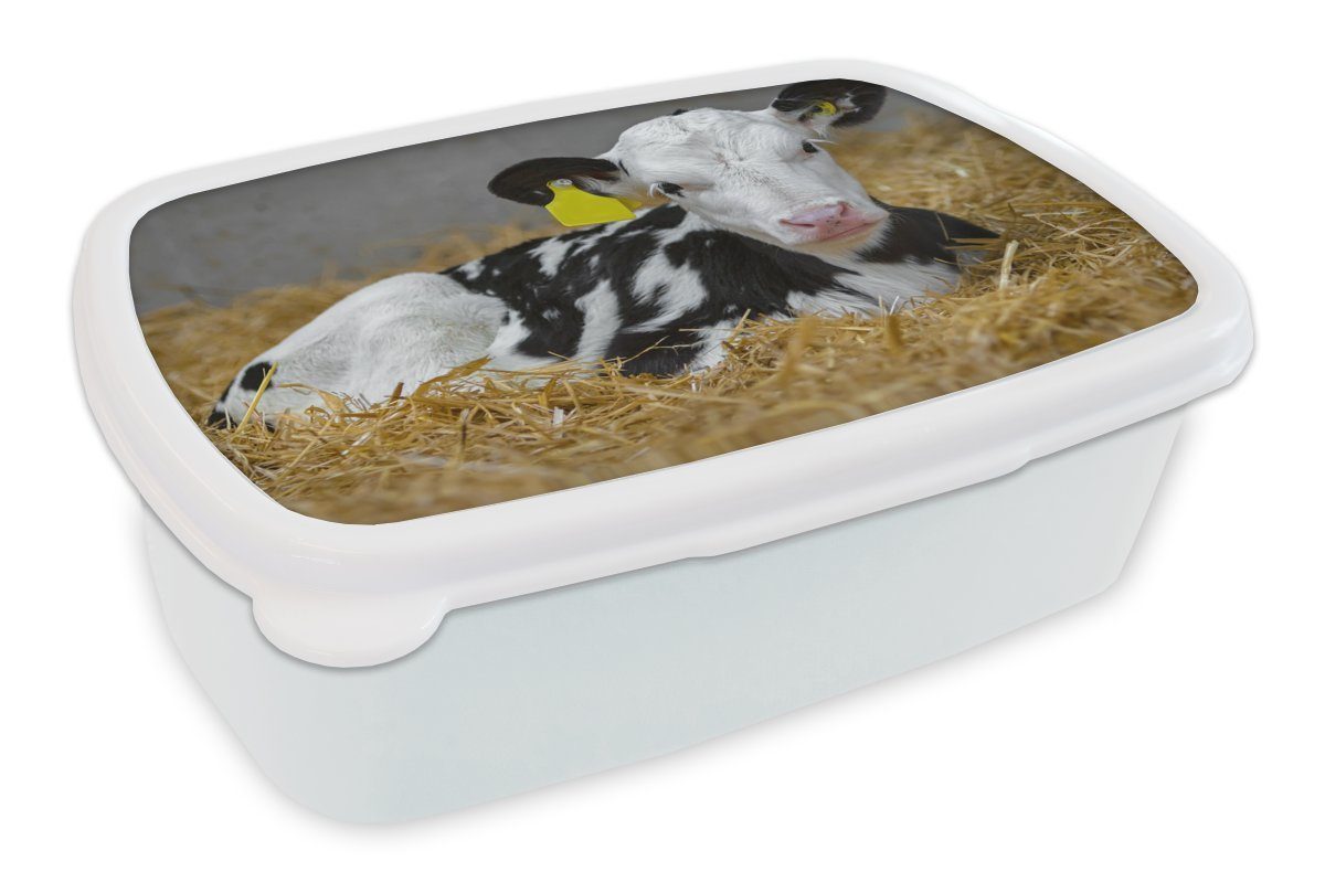 MuchoWow Lunchbox Kuh - Stroh - Kalb - Tier, Kunststoff, (2-tlg), Brotbox für Kinder und Erwachsene, Brotdose, für Jungs und Mädchen weiß