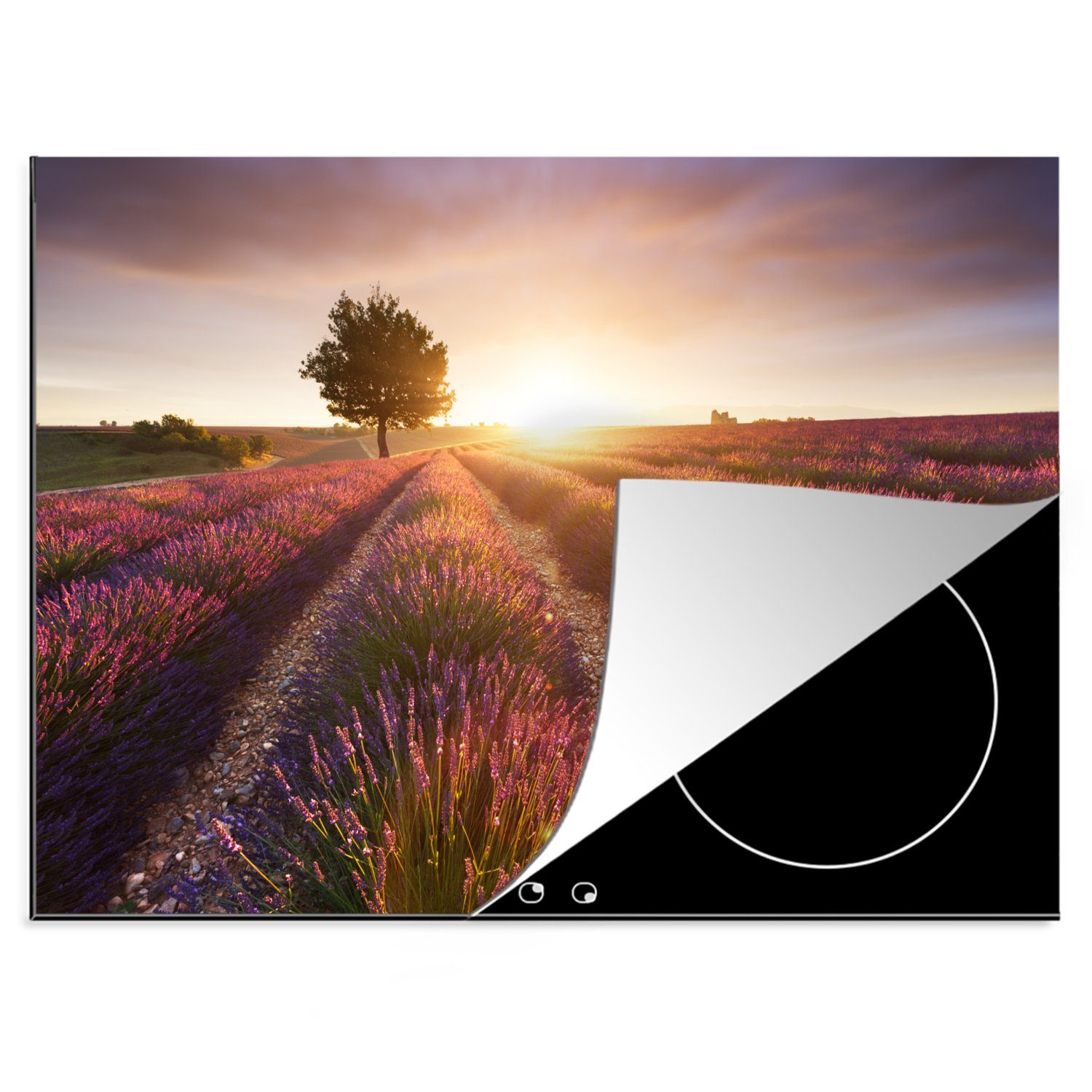MuchoWow Herdblende-/Abdeckplatte Ein Lavendelfeld mit Baum bei Sonnenuntergang, Vinyl, (1 tlg), 70x52 cm, Mobile Arbeitsfläche nutzbar, Ceranfeldabdeckung