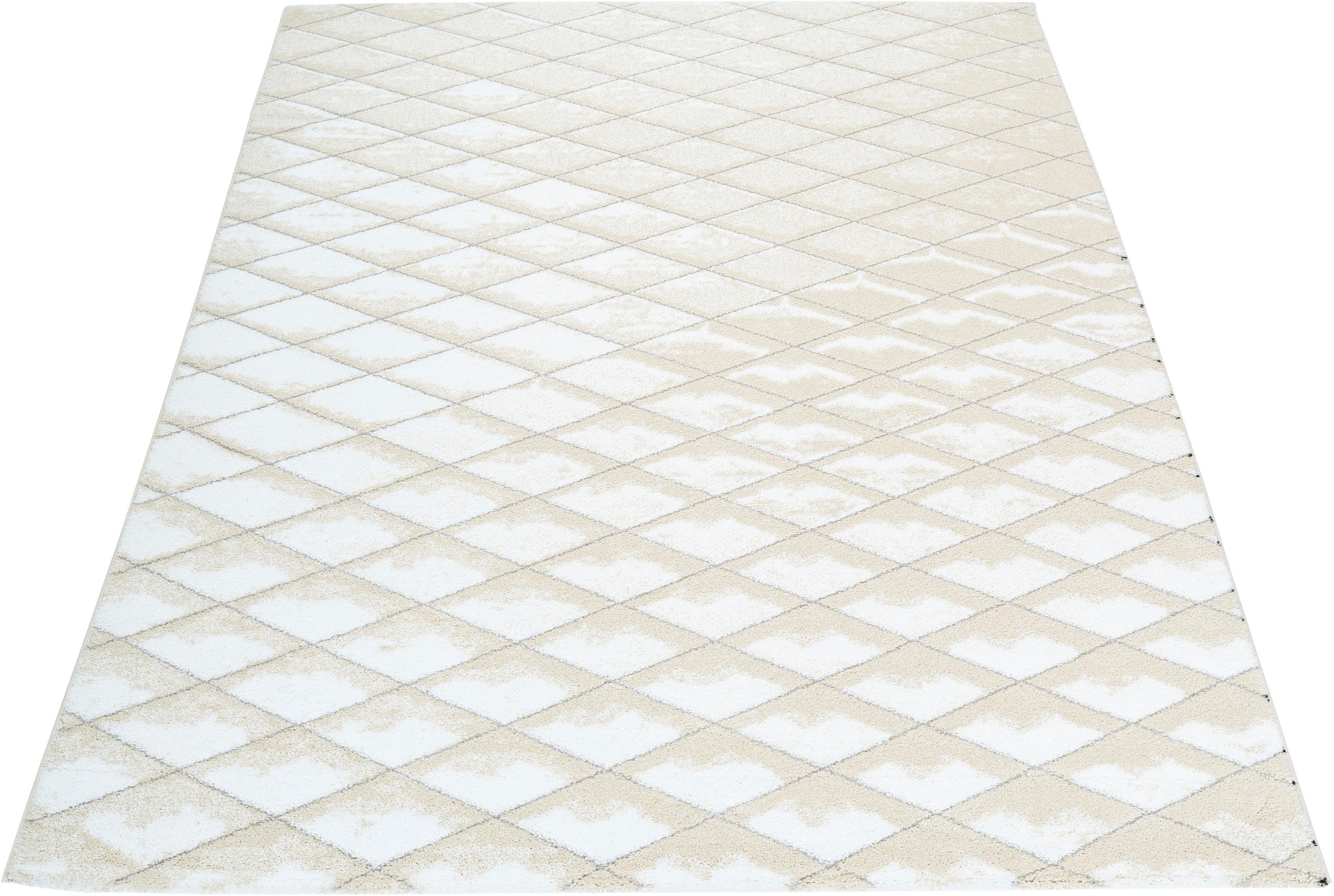 Teppich Nora, INOSIGN, rechteckig, Höhe: 12 mm, Hoch-Tief-Effekt, Wohnzimmer