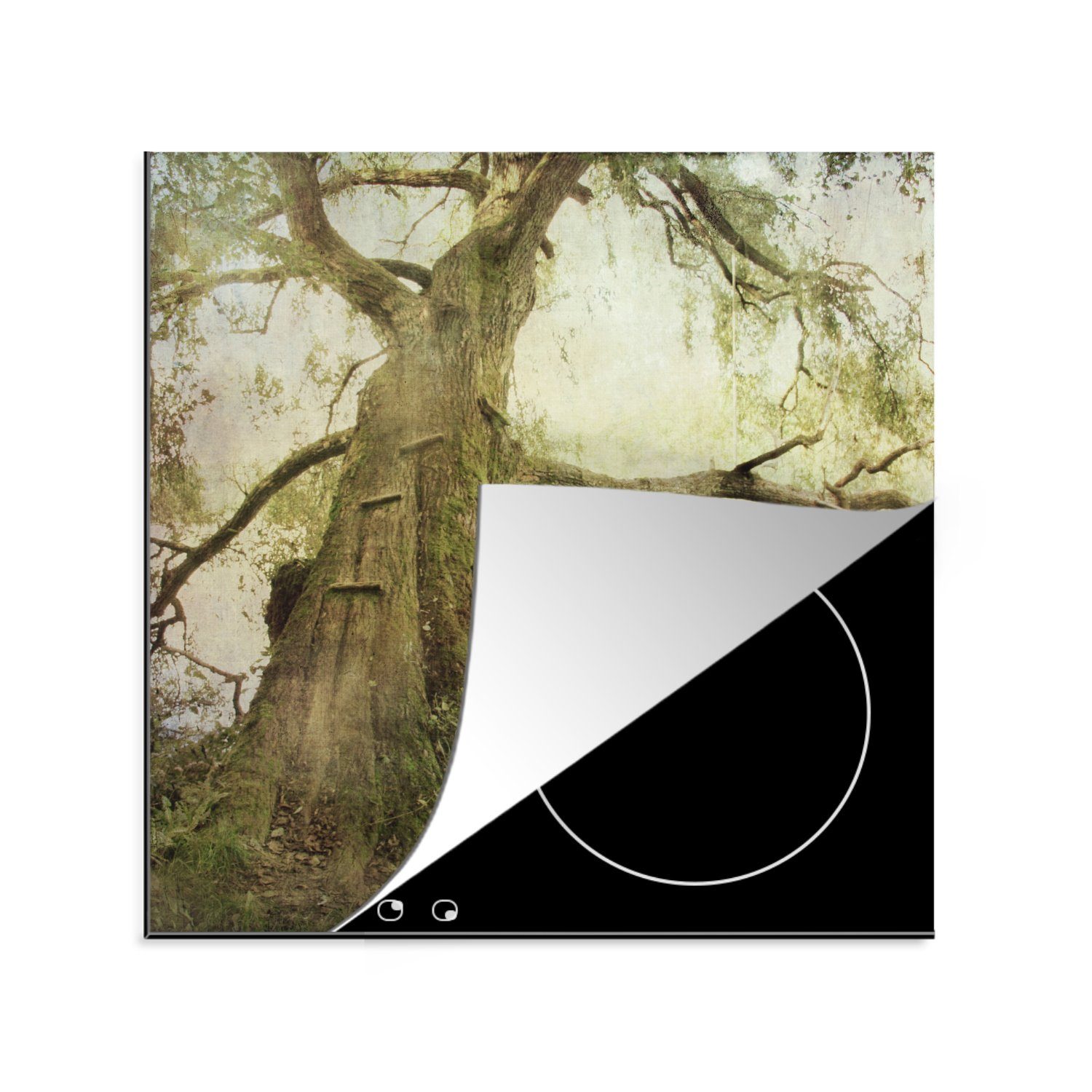 MuchoWow Herdblende-/Abdeckplatte Ein uralter Baum im Wielkopolska-Nationalpark in Polen, Vinyl, (1 tlg), 78x78 cm, Ceranfeldabdeckung, Arbeitsplatte für küche