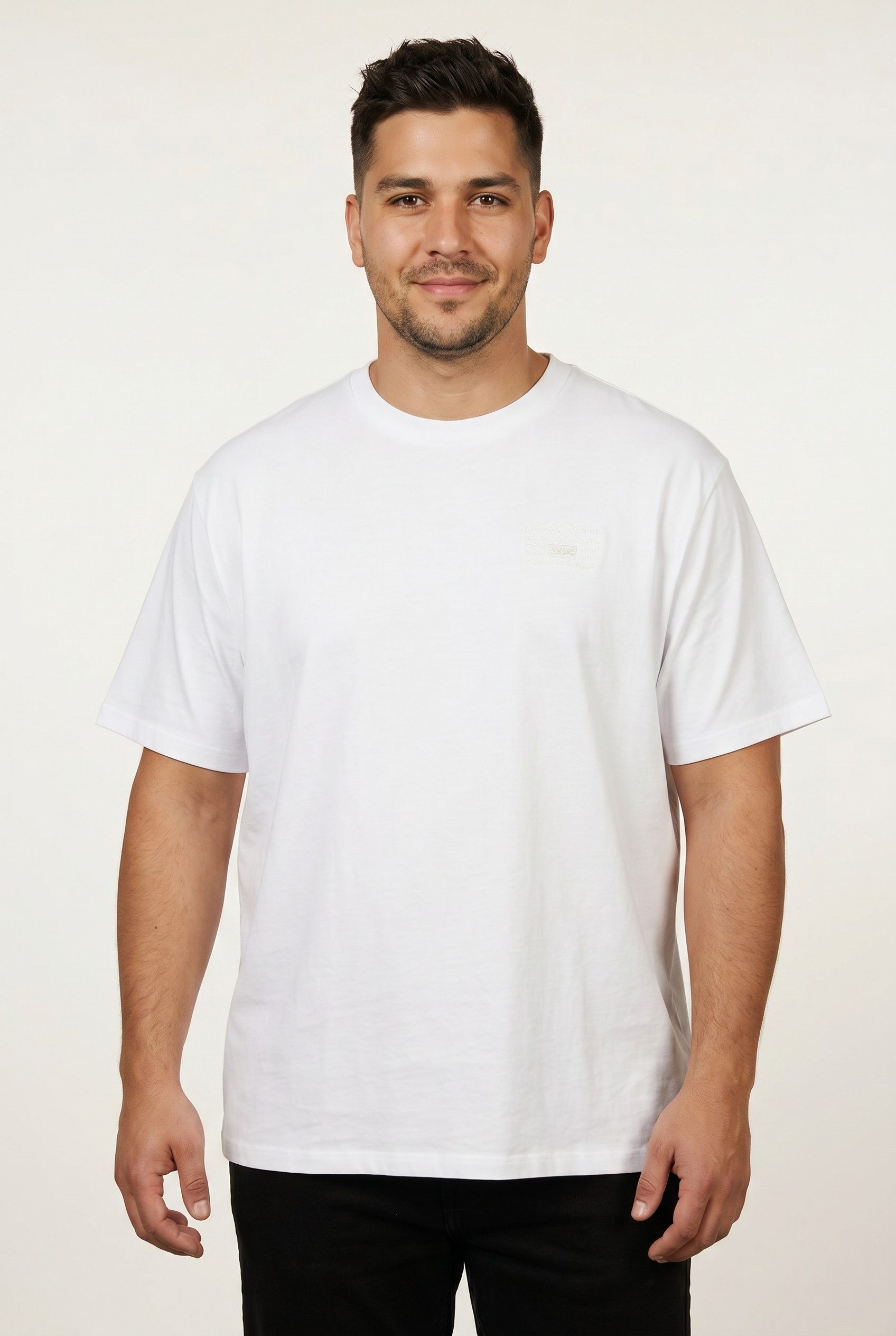 Levi's® Plus T-Shirt LSE B&T BIG GRAPHIC TEE mit Logostickerei auf der Brust