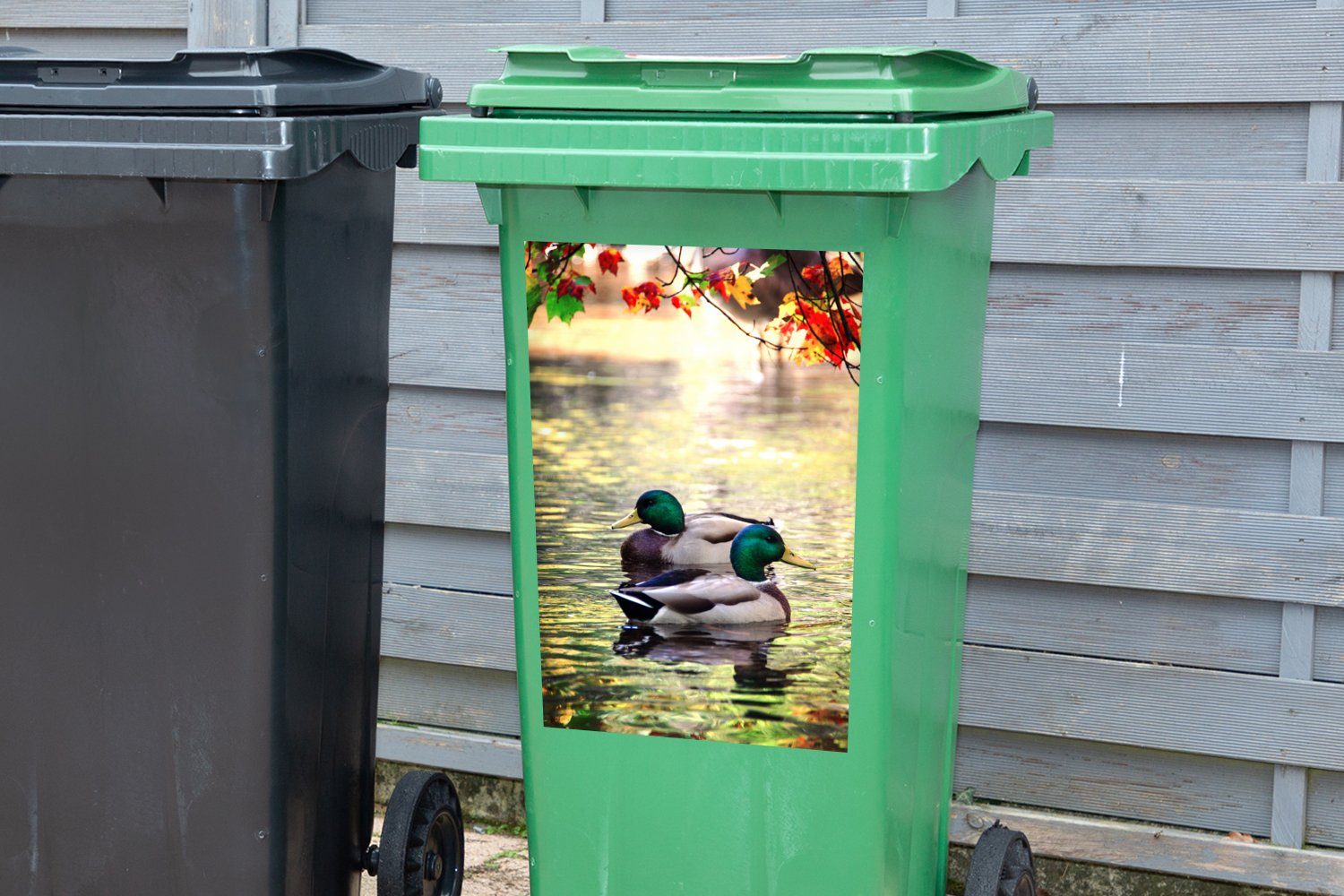 MuchoWow Wandsticker Ente - Herbst Sticker, Mülltonne, St), Abfalbehälter Wasser - Container, Mülleimer-aufkleber, (1