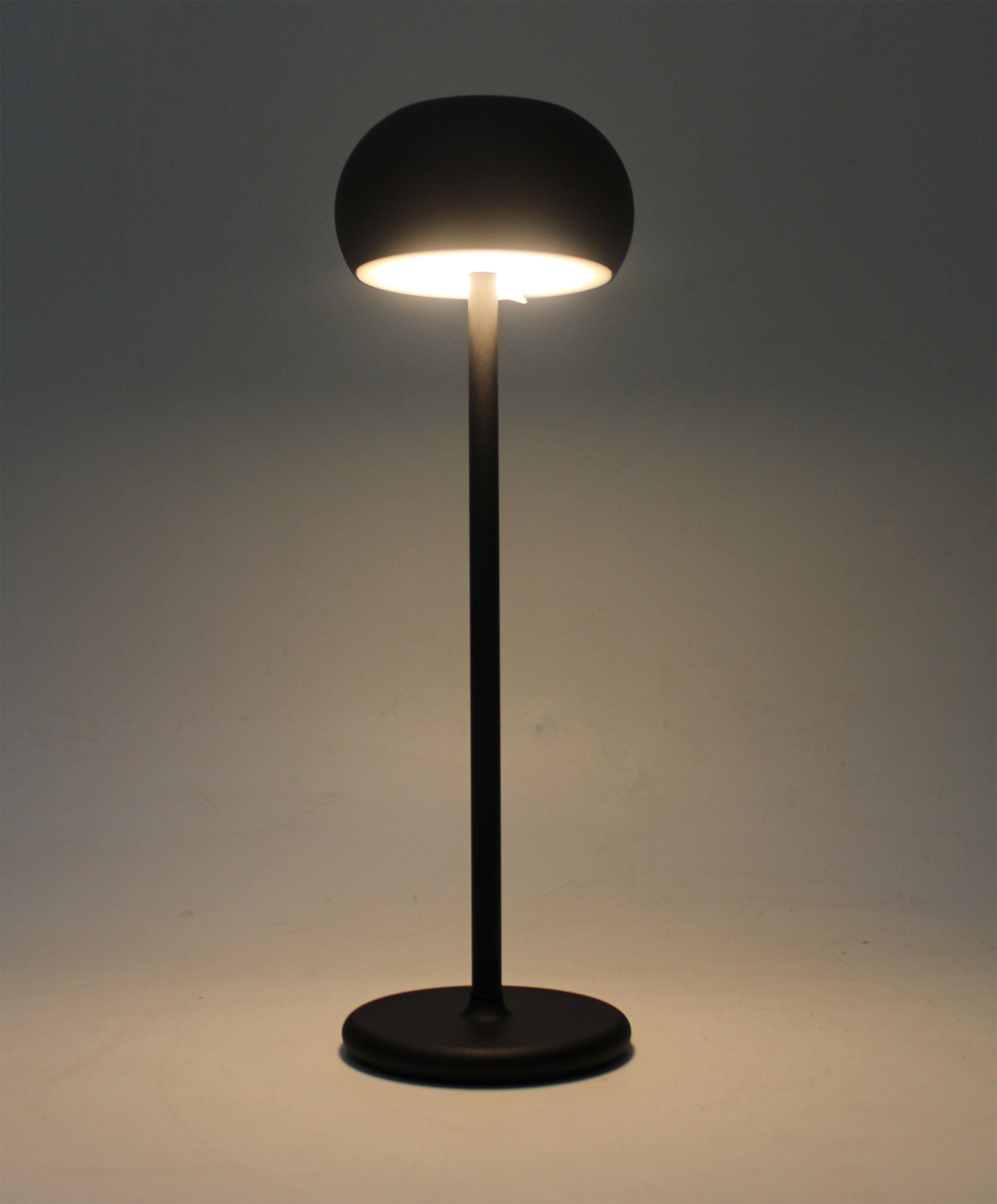 Arnusa LED Nachttischlampe Tischlampe mit Akku für den Innen- und Außenbereich, USB-Anschluss mit Ladefunktion, LED fest integriert, warmweiß, kabellos