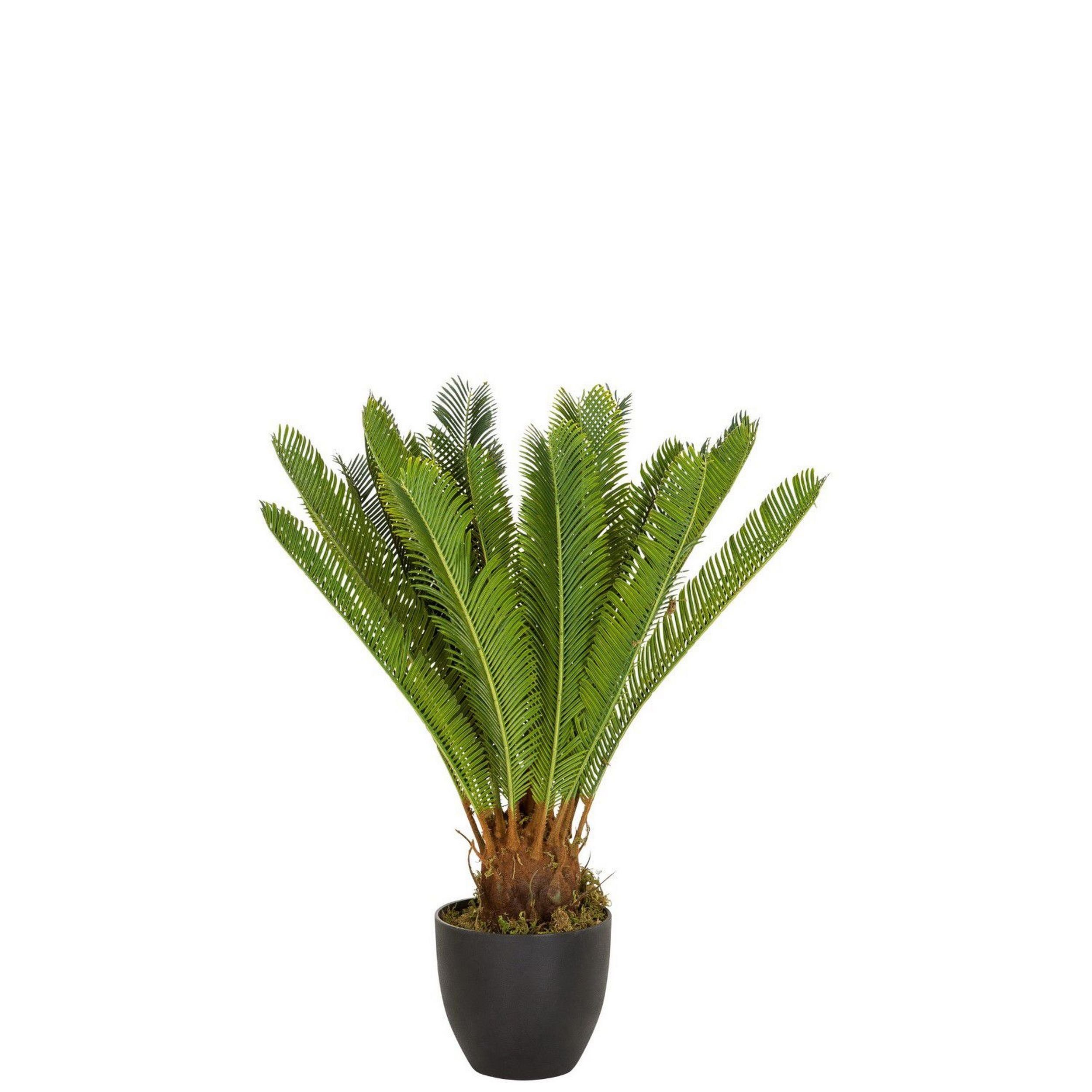 Künstliche Zimmerpflanze Deko für und Höhe Palmfarn Pflanzen, cm, / innen- 70 außen bümö, Cycas Kunstpflanze