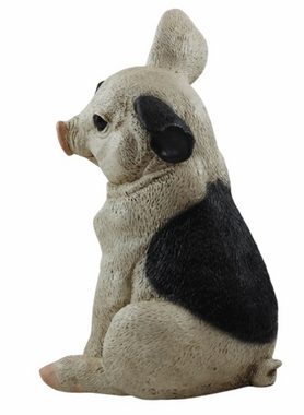 Castagna Tierfigur Figur Schwein Ferkel sitzend nach unten schauend gefleckt Kollektion Castagna aus Resin H 22 cm
