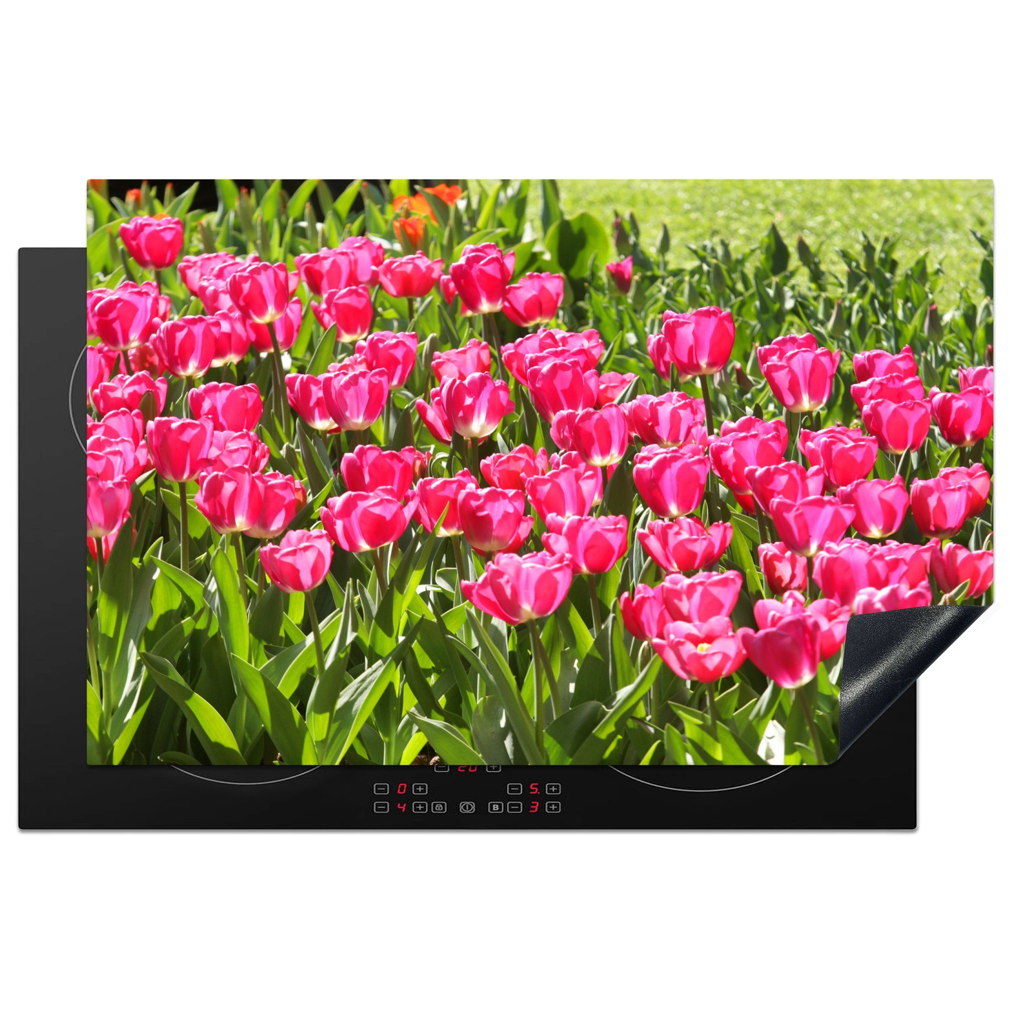 MuchoWow Herdblende-/Abdeckplatte Rosa Tulpen im niederländischen Lisse, Vinyl, (1 tlg), 81x52 cm, Induktionskochfeld Schutz für die küche, Ceranfeldabdeckung