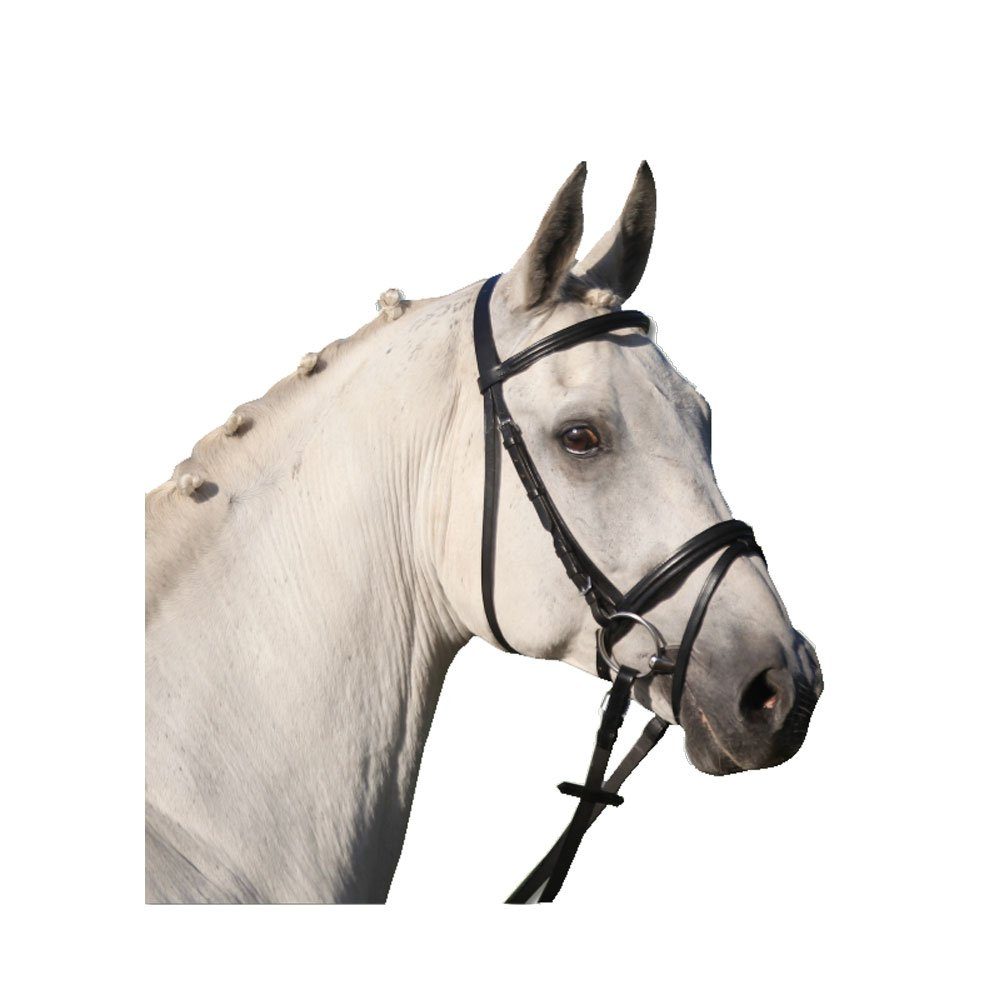 Waldhausen Trensenzaum Waldhausen Star Lifestyle Trensenzaum