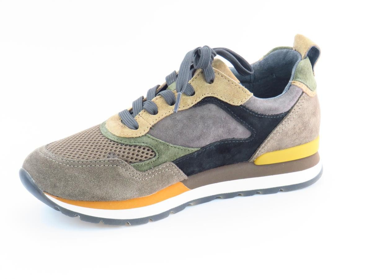 Gabor Comfort moh soil lion Sneaker günstig online kaufen