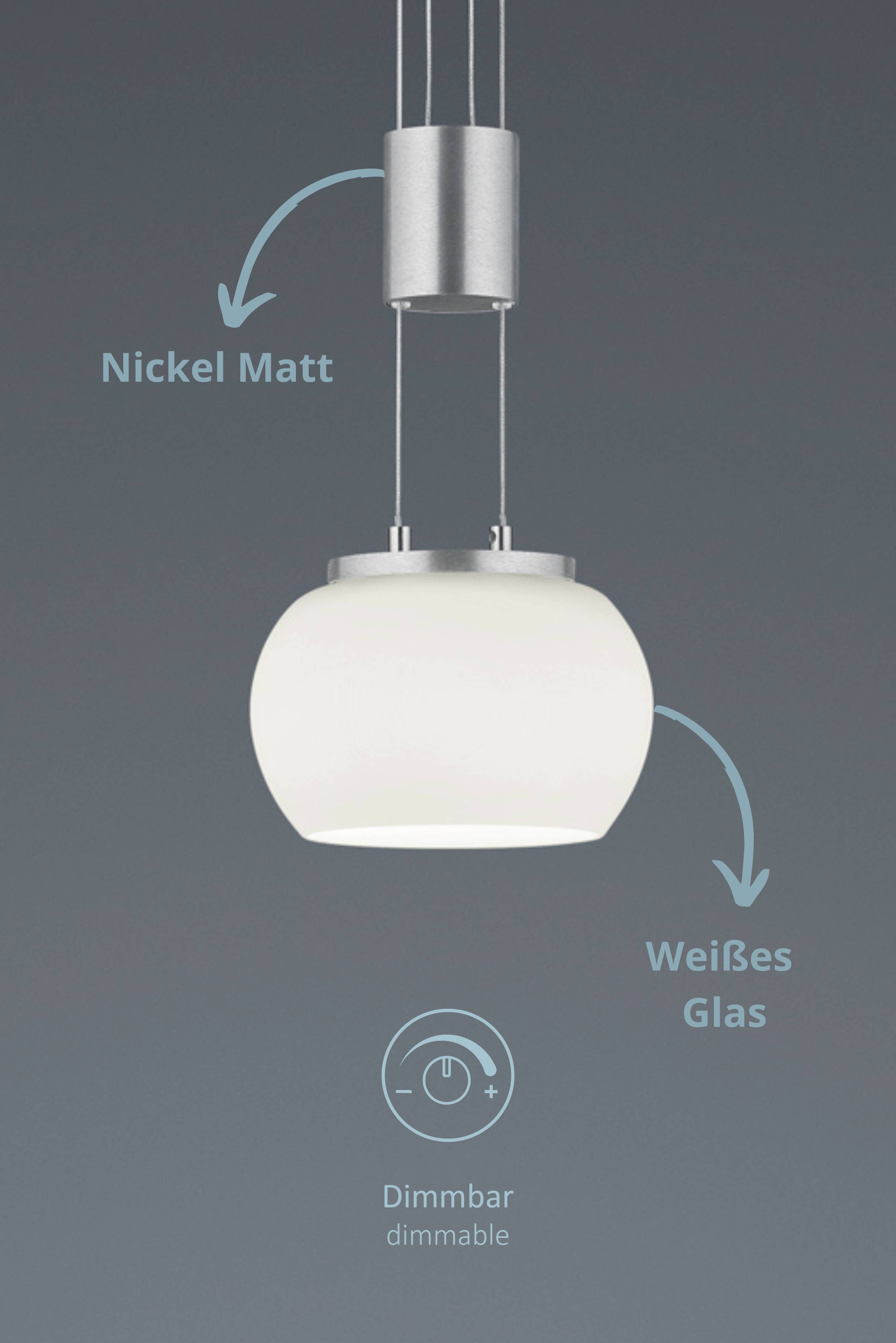 lightling LED Pendelleuchte Harrison, LED fest integriert, warmweiß, höhenverstellbar, dimmbar