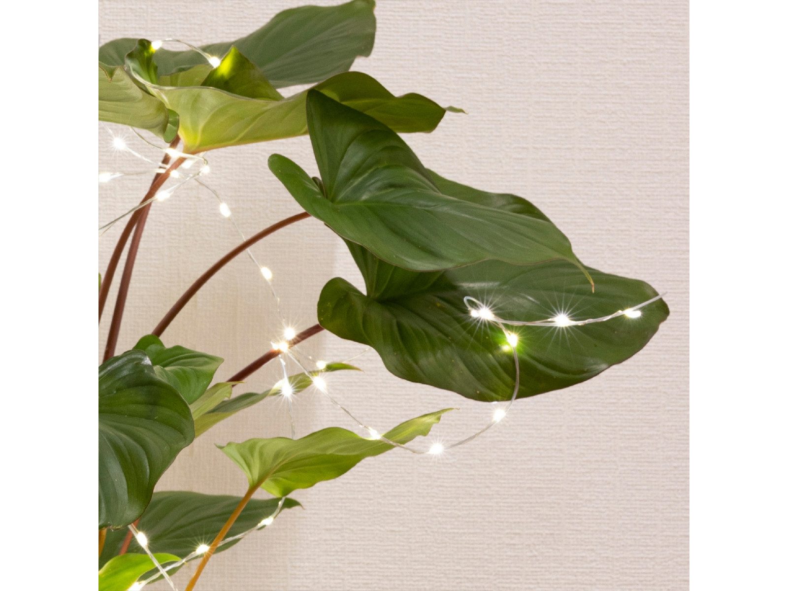 Lumineo Lichterkette Micro LED-Beleuchtung silber 80 cm